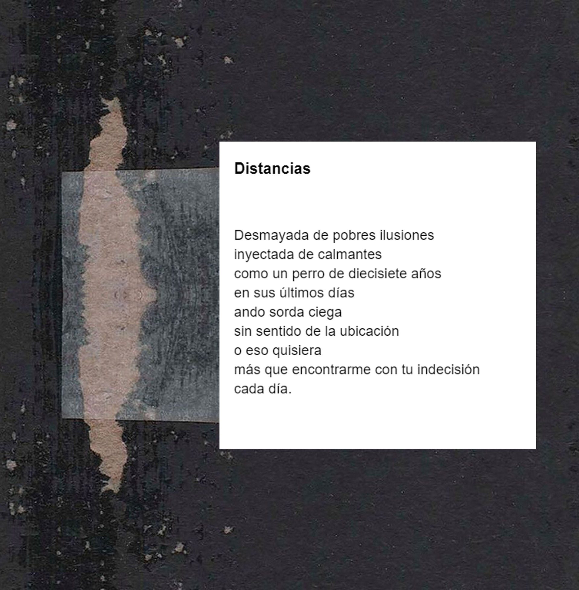 Poemas de la edición digital de "Para saltar sobre el abismo del mundo", recopilación de plaquettes de 2010 a 2021.