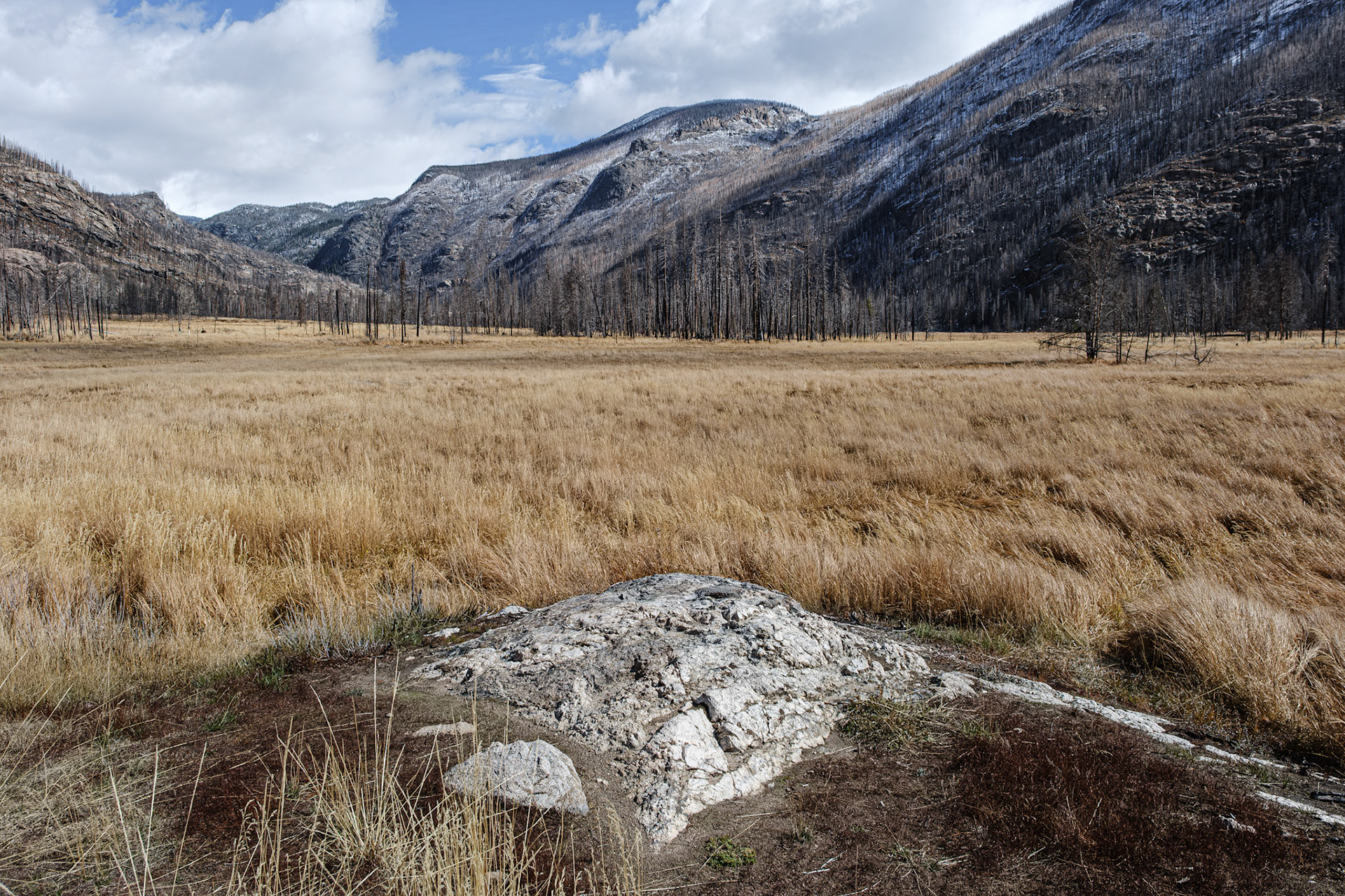 Summerland Park Campsite