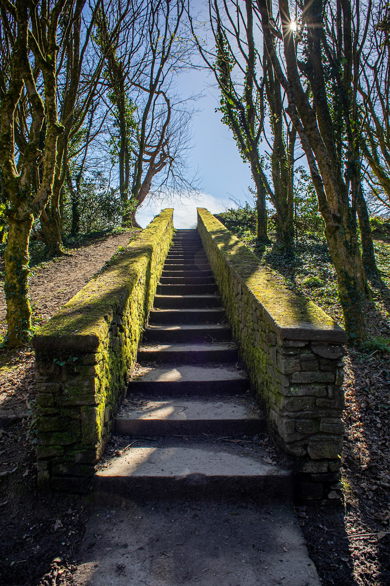 Mossy stairs