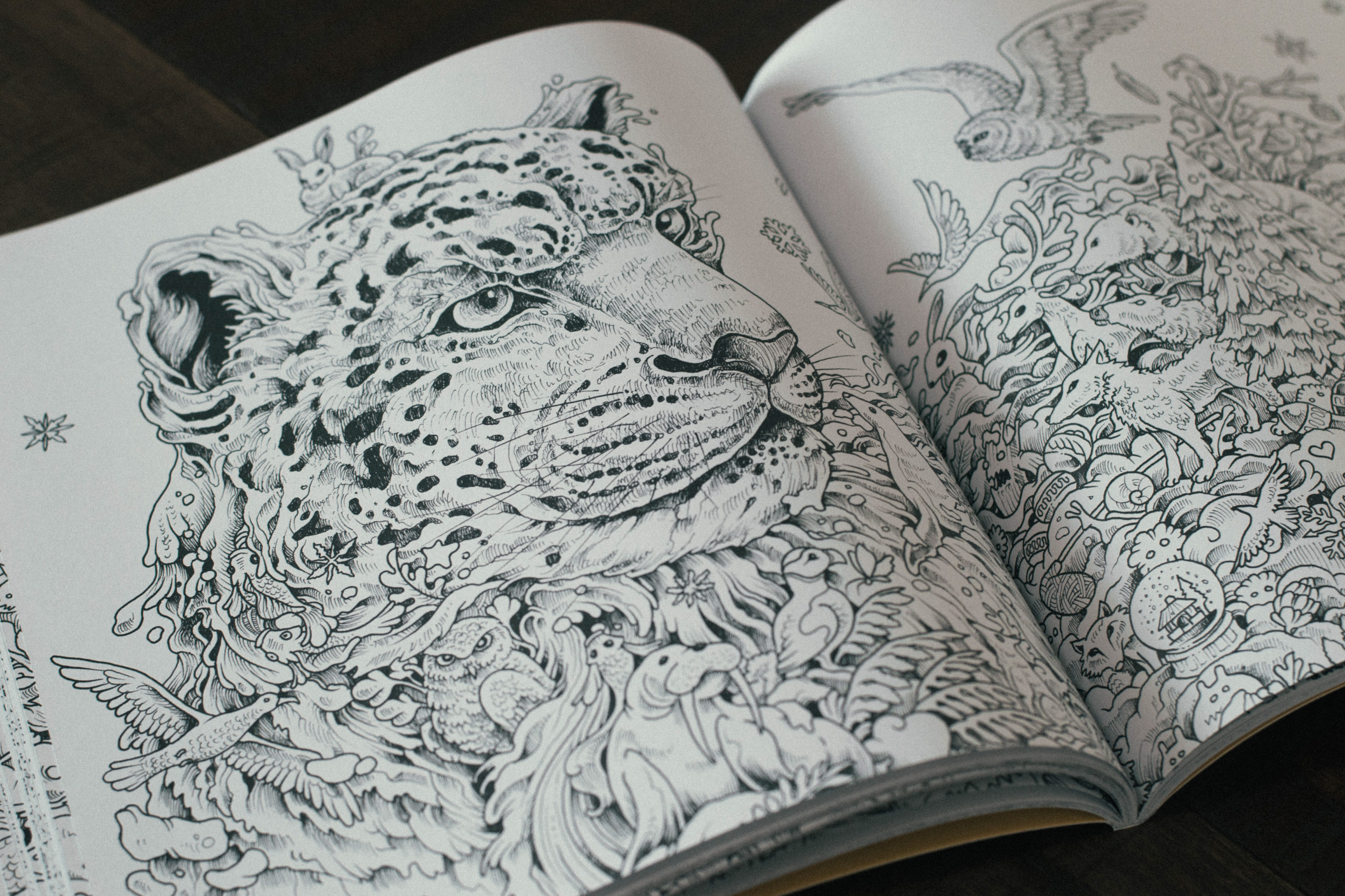 Kerby Rosanes : Illustrator : Portfolio - Imagimorphia