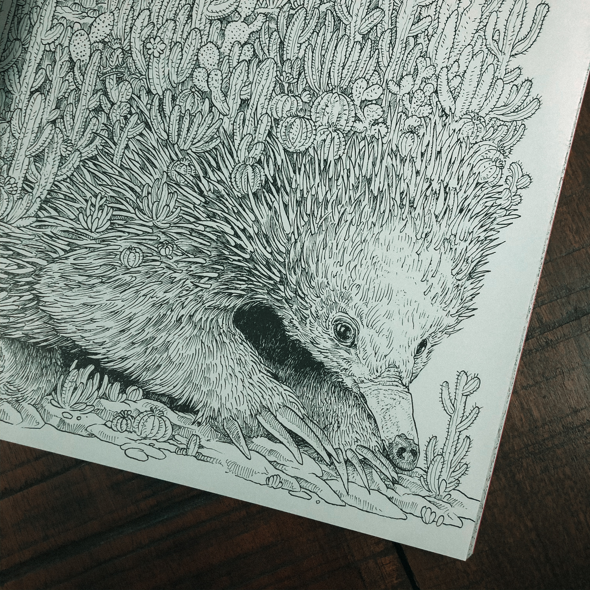 Worlds Within Worlds Coloring Book by Kerby Rosanes — Tools and Toys