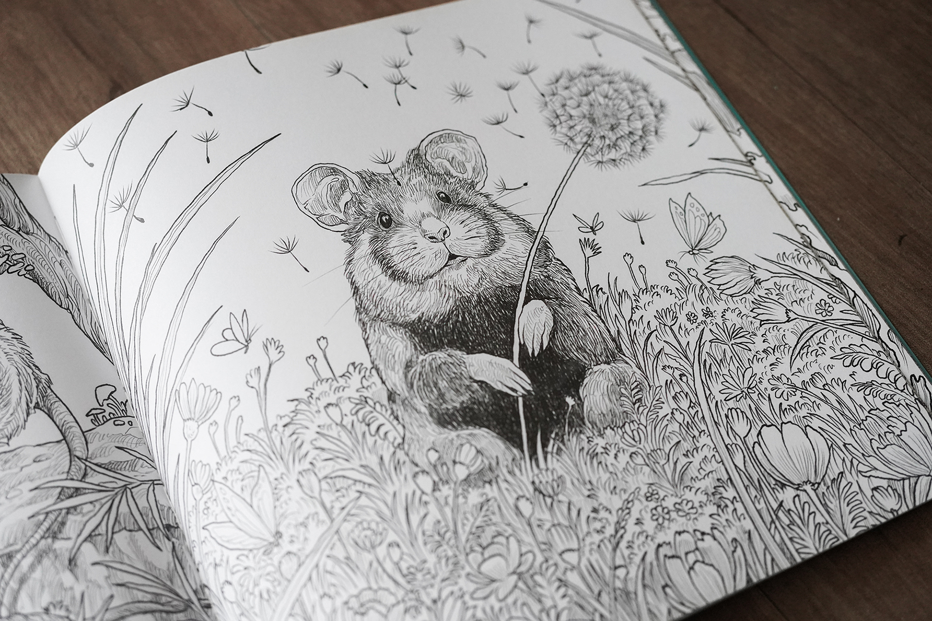 kerby rosanes adult colouring books.