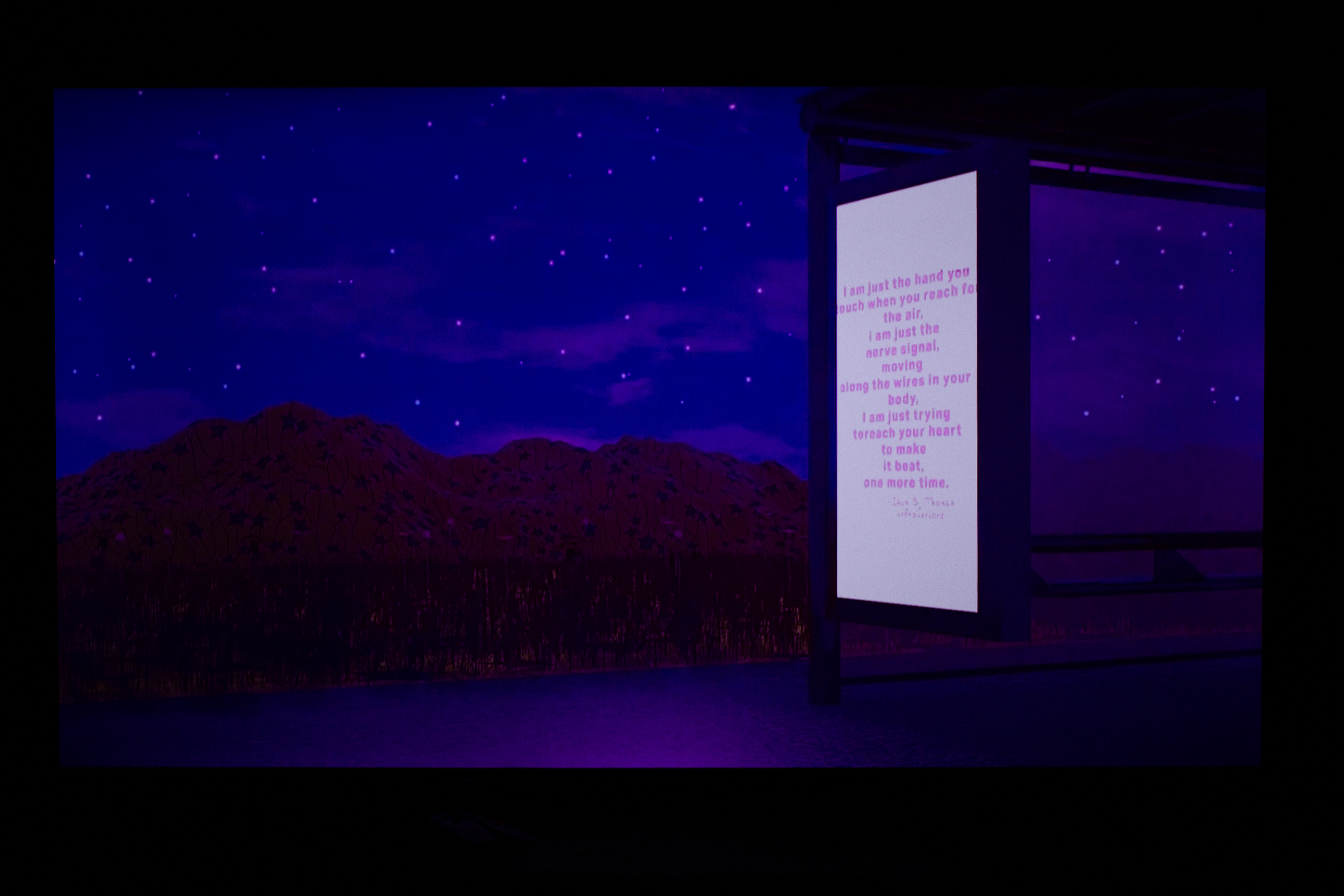 On Show at Nuit Blanche