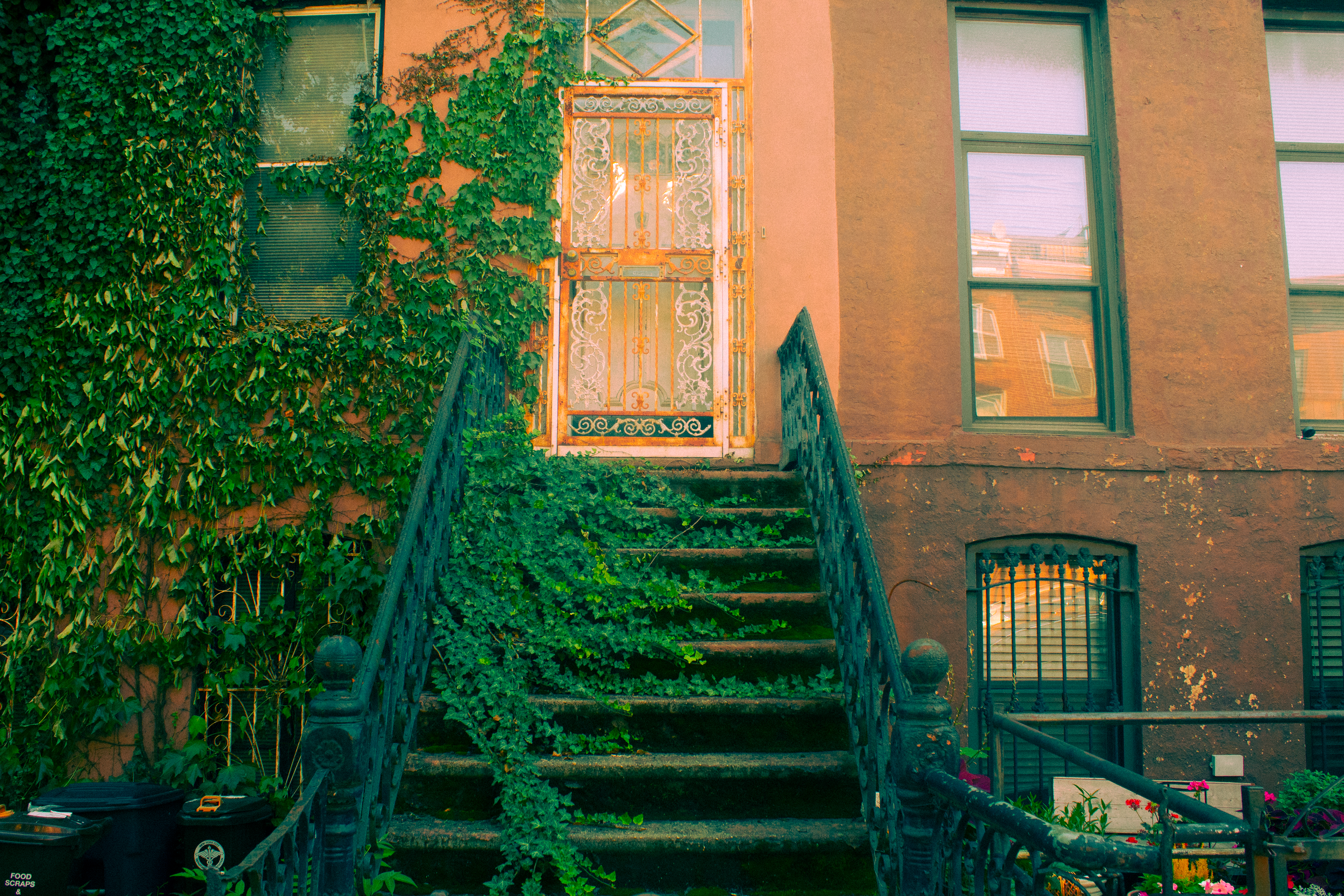 BROOKLYN NEW YORK 2024