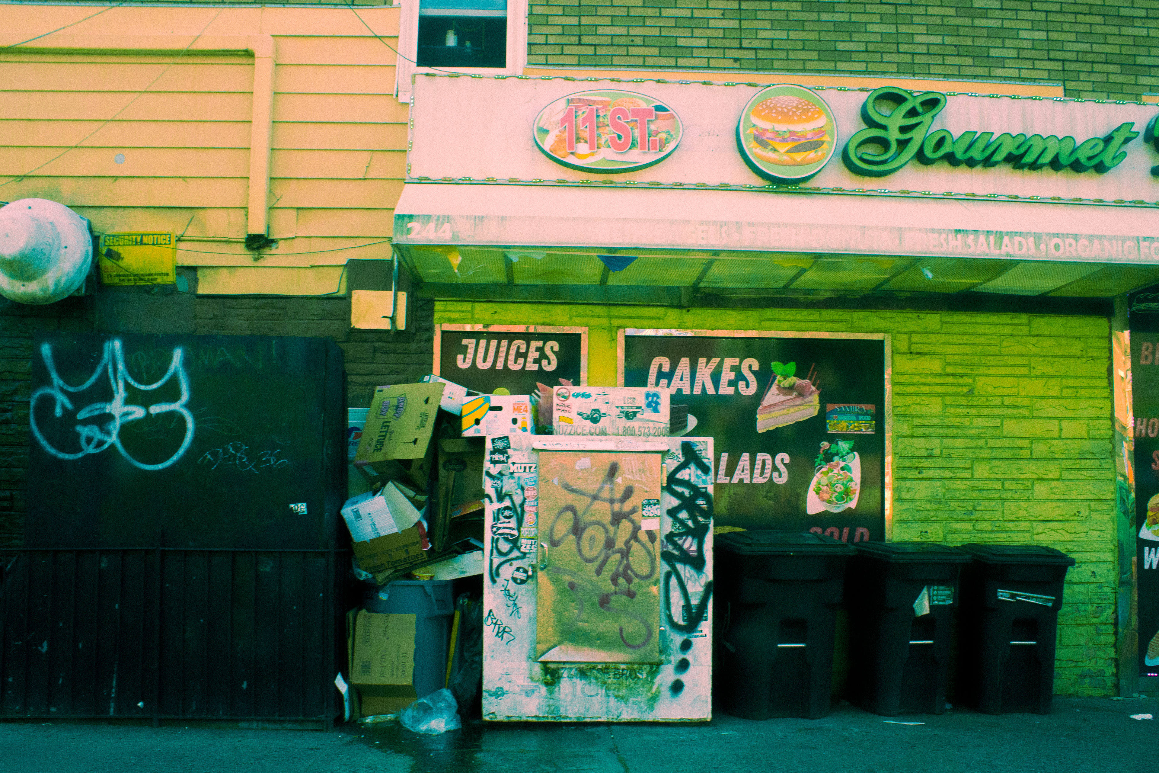 BROOKLYN NEW YORK 2024