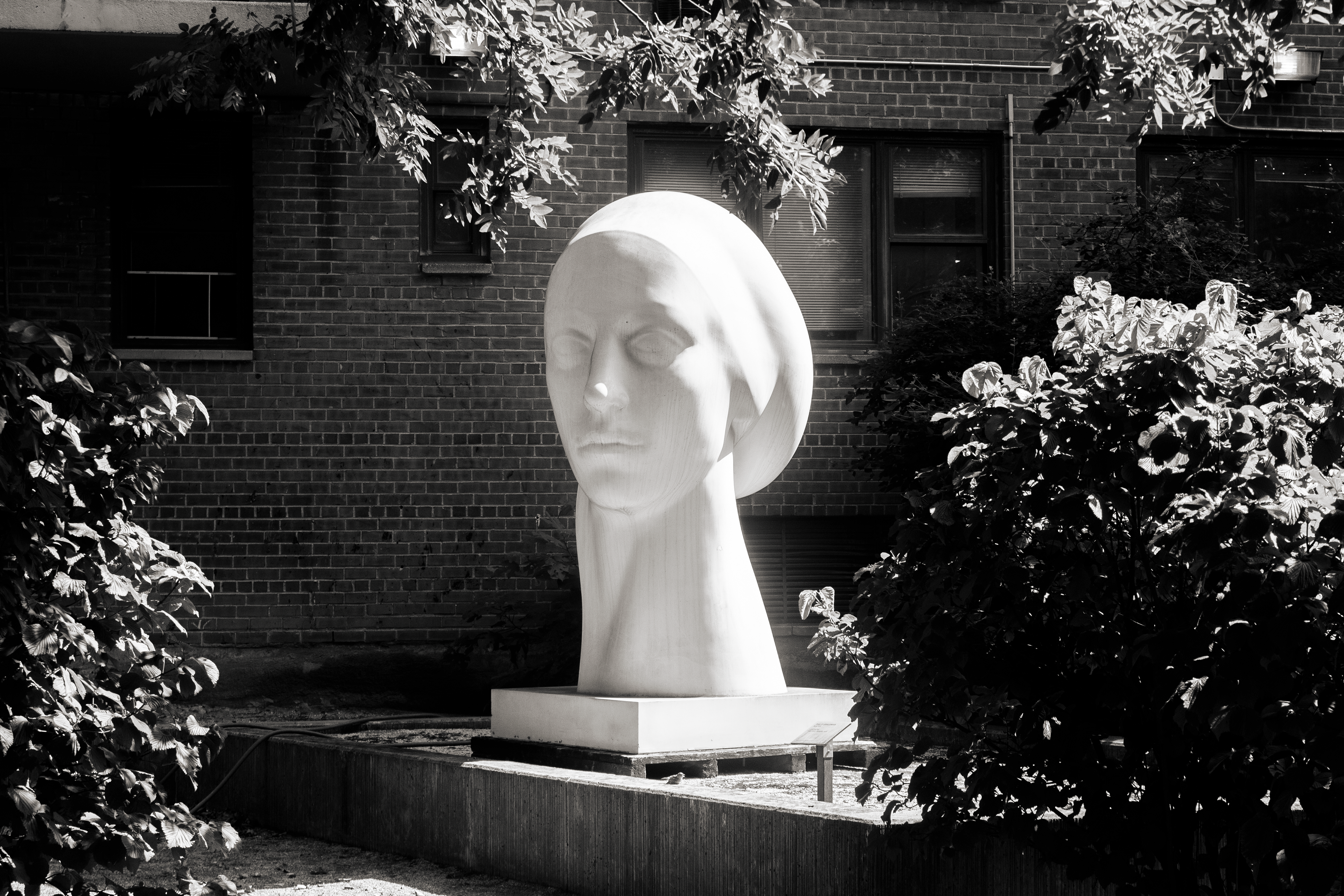 Pratt Institute | Brooklyn, New York 2024