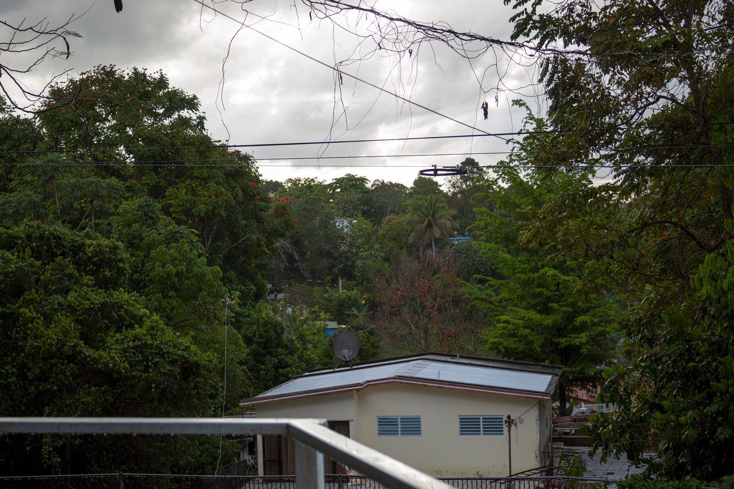 Las Montañas De Camuy, 2025