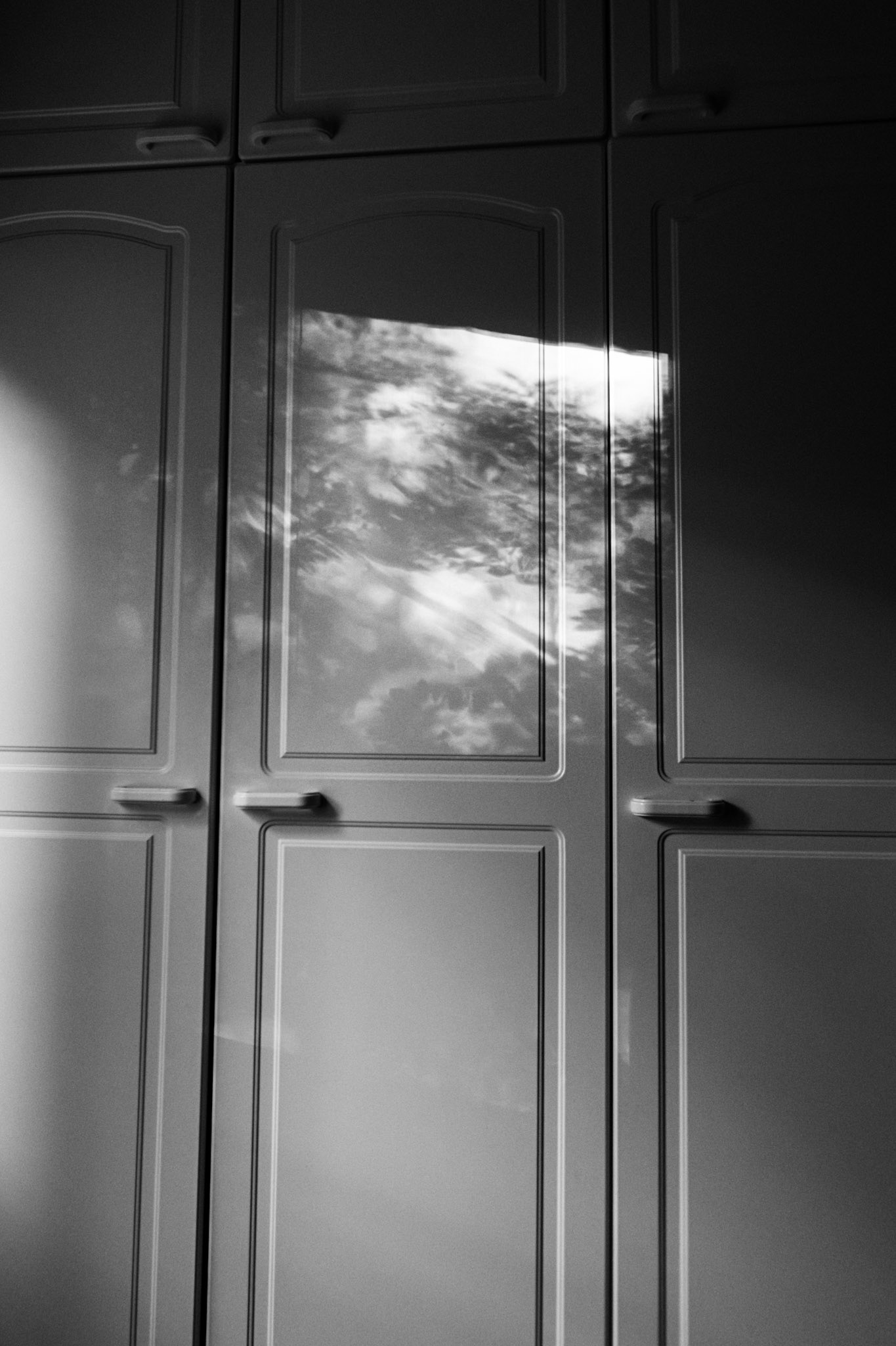 A black-and-white photo of tall white wardrobe doors, with sunlight casting reflections of trees from outside, forming abstract patterns on the glossy surface.