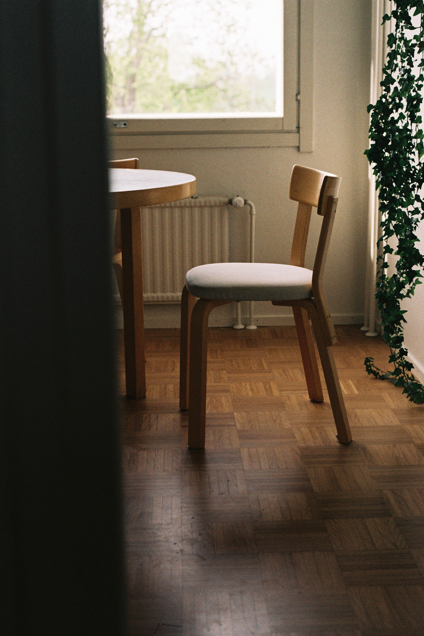 A colour film photograph taken from a kitchen's doorway where an Artek chair, a part of a table, and a common ivy are visible.