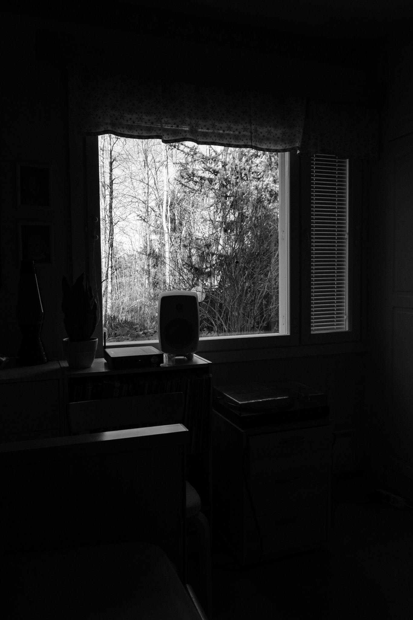 A black and white photo of leafless trees outside a window.