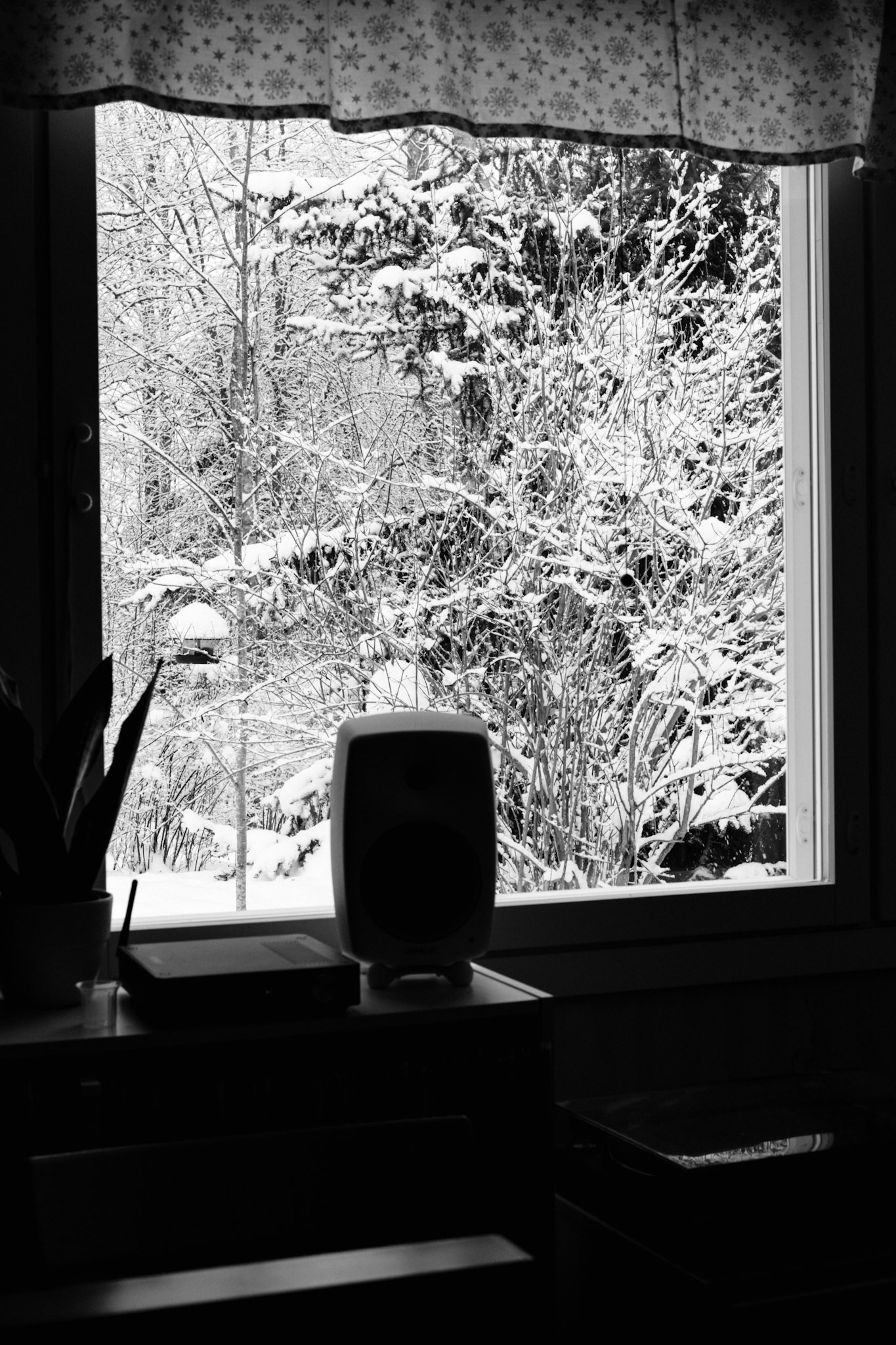 A black-and-white photo of a snowy landscape outside of a window. A bird feeder hangs from a stick. The snow weighs down the branches of a spruce.