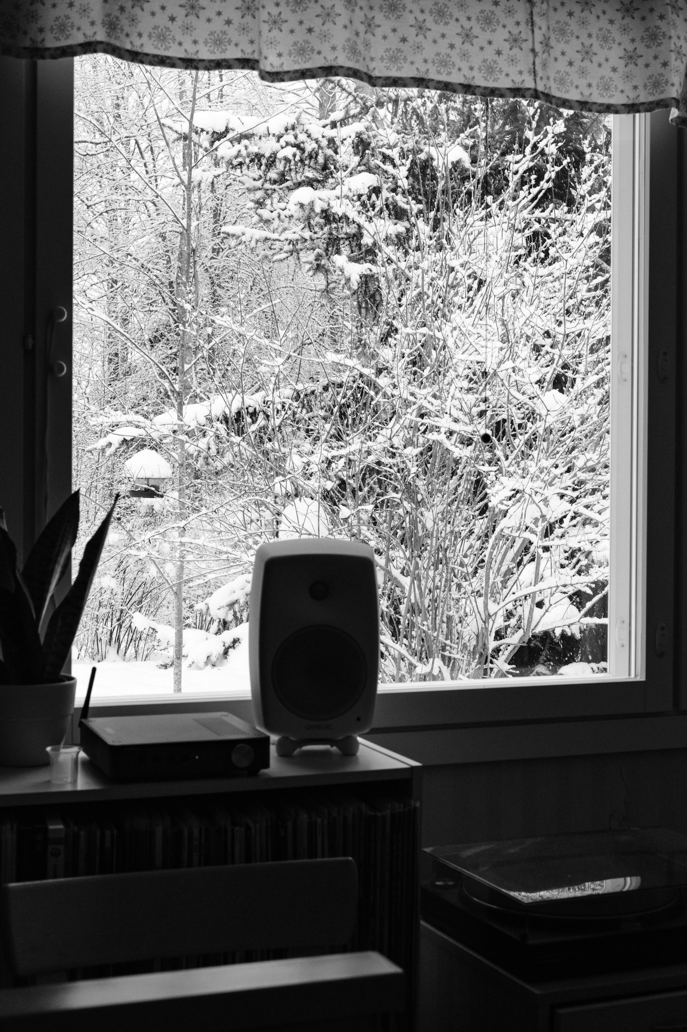 A black and white photo of a snowy landscape outside of a window. A bird feeder hangs from a stick. The snow weighs down the branches of a spruce.