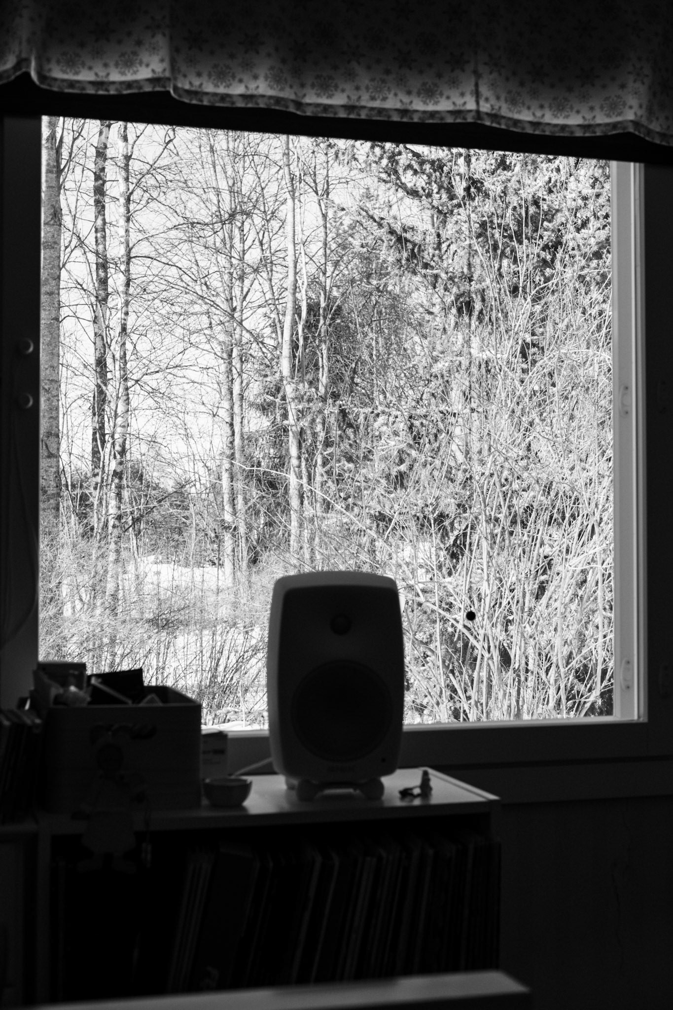 A black-and-white photo of leafless trees outside a window.
