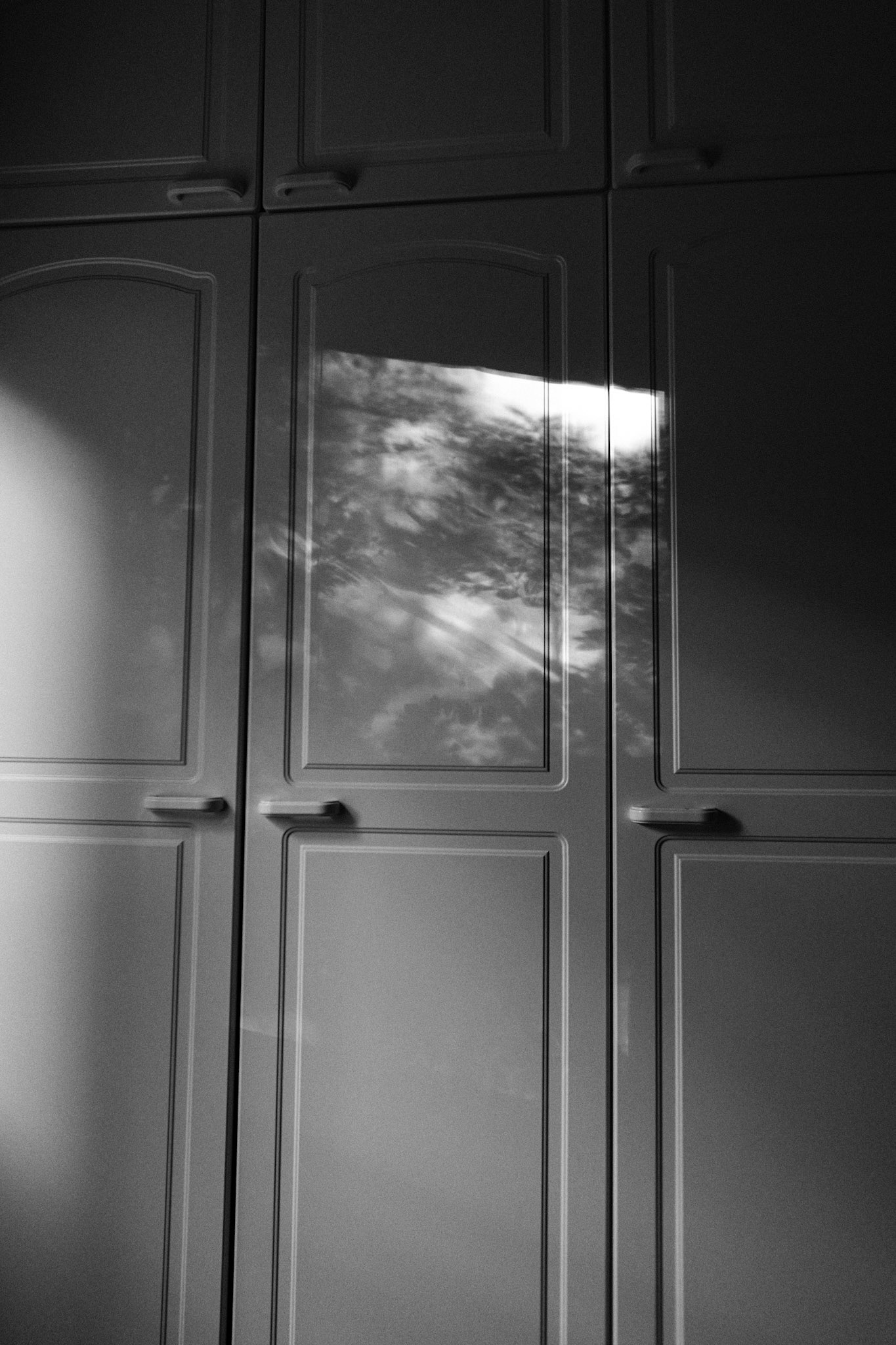 A black and white photo of tall white wardrobe doors, with sunlight casting reflections of trees from outside, forming abstract patterns on the glossy surface.