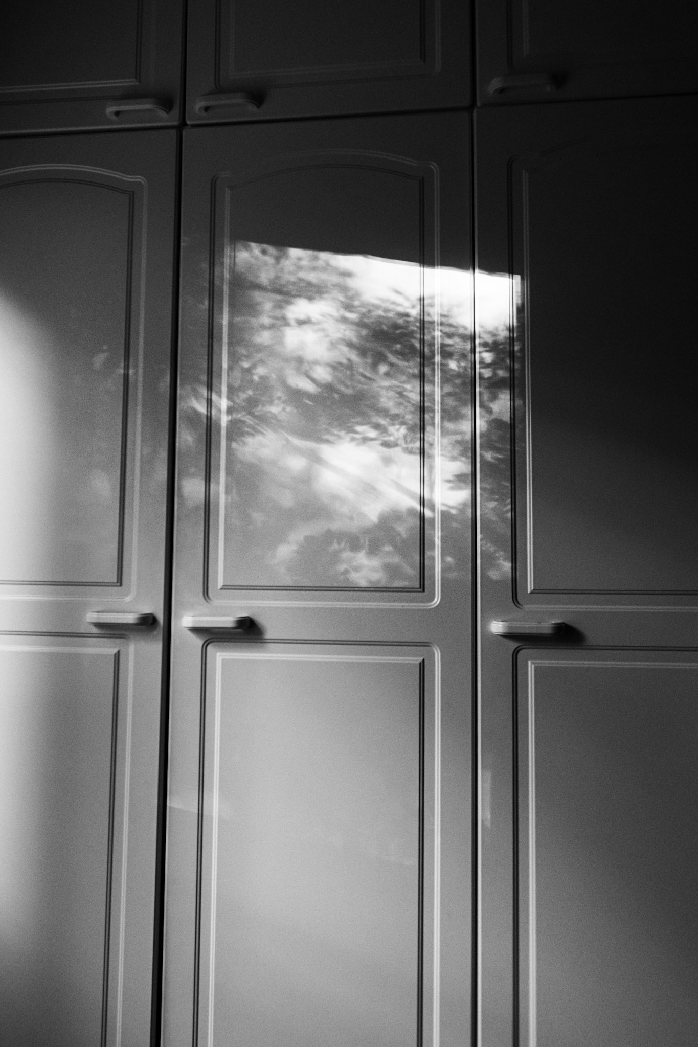 A black-and-white photo of tall white wardrobe doors, with sunlight casting reflections of trees from outside, forming abstract patterns on the glossy surface.