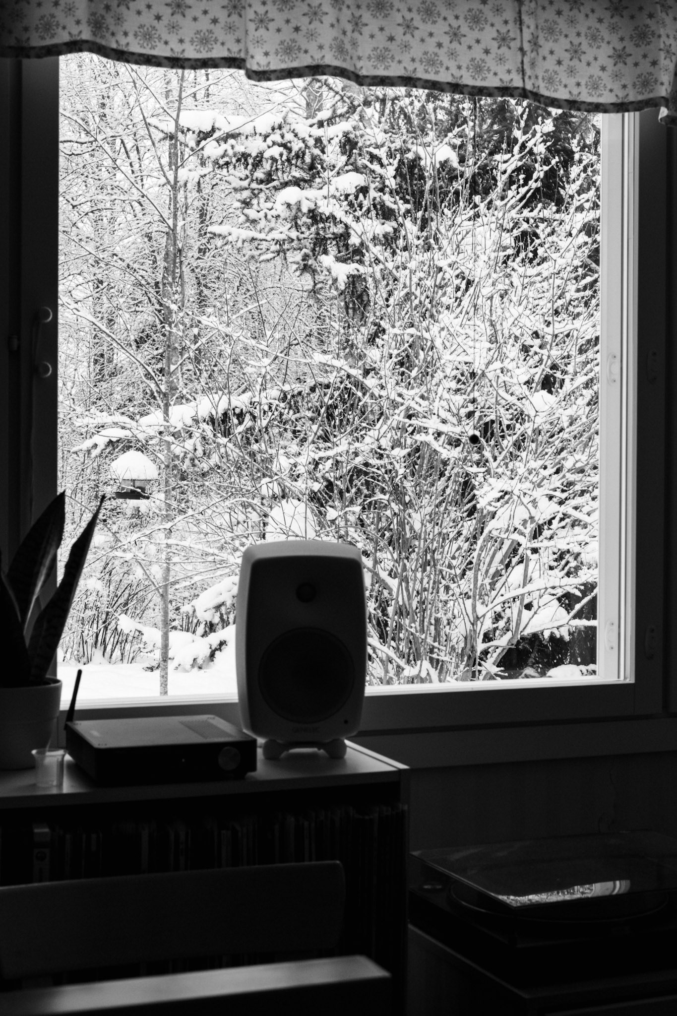 A black-and-white photo of a snowy landscape outside of a window. A bird feeder hangs from a stick. The snow weighs down the branches of a spruce.
