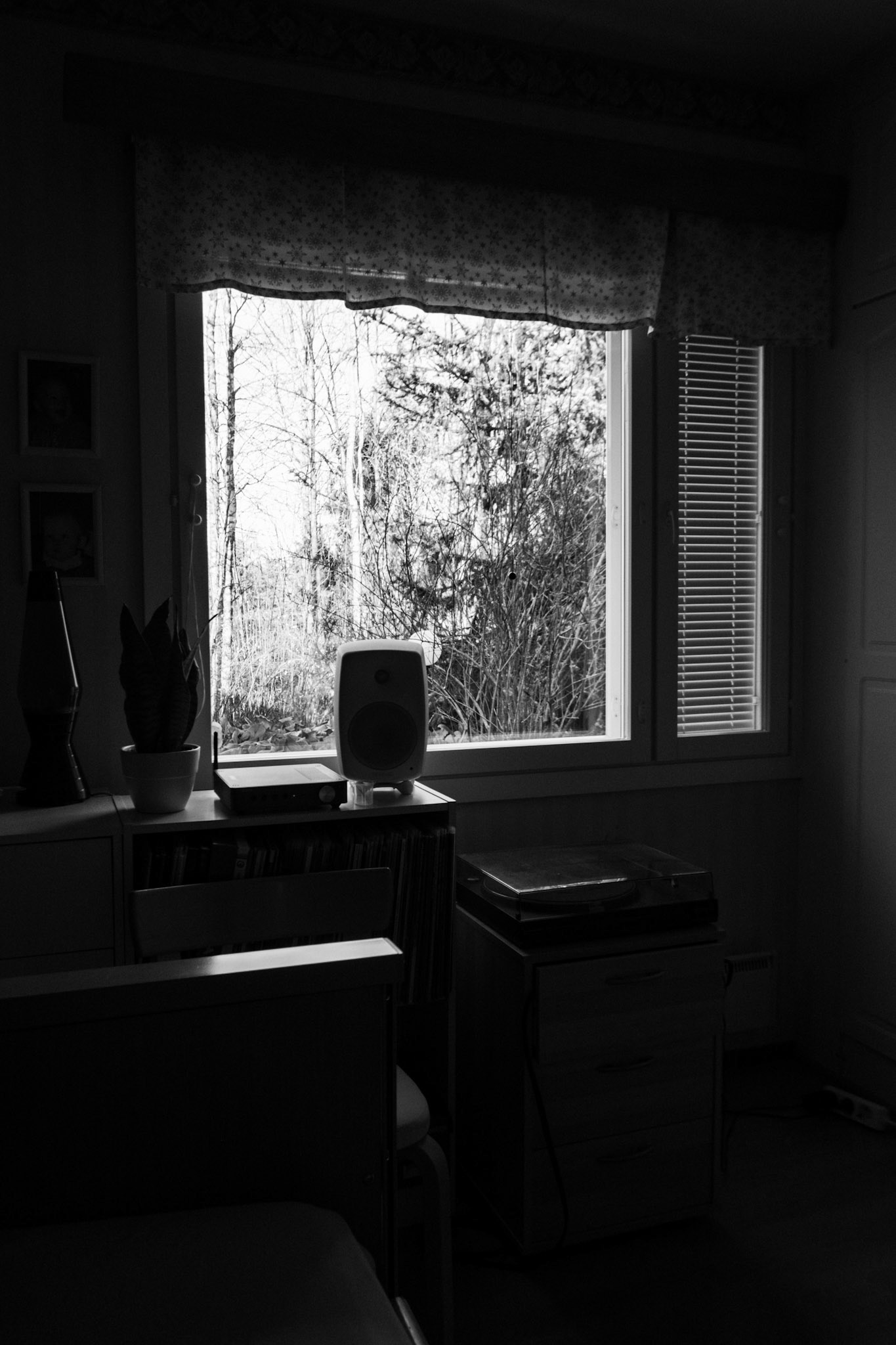 A black-and-white photo of leafless trees outside a window.