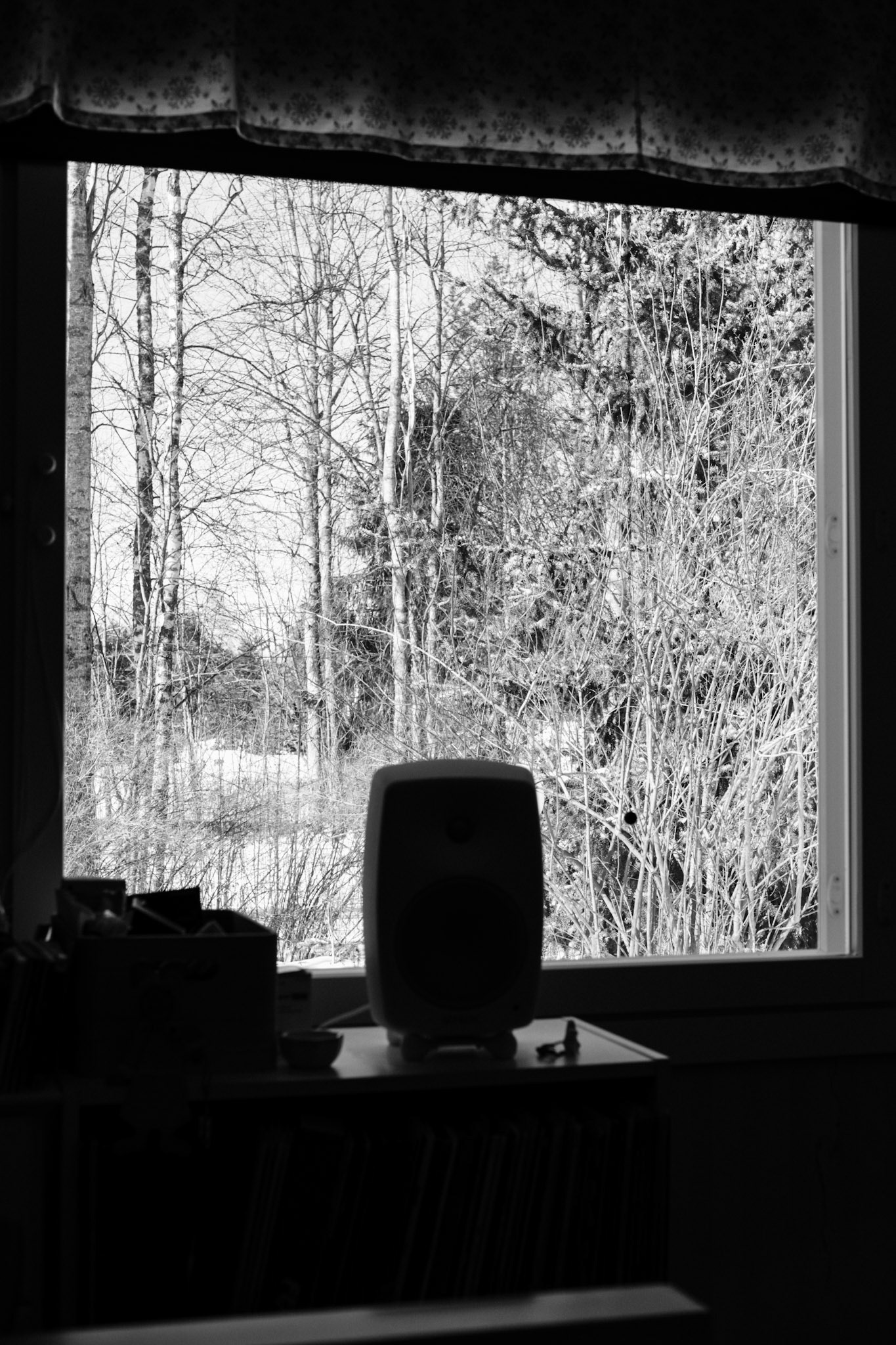 A black-and-white photo of leafless trees outside a window.