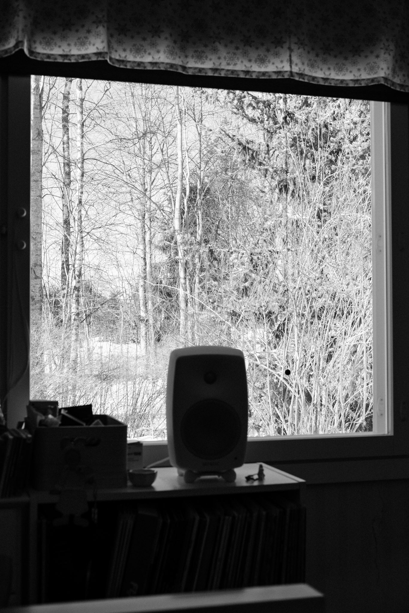 A black and white photo of leafless trees outside a window.