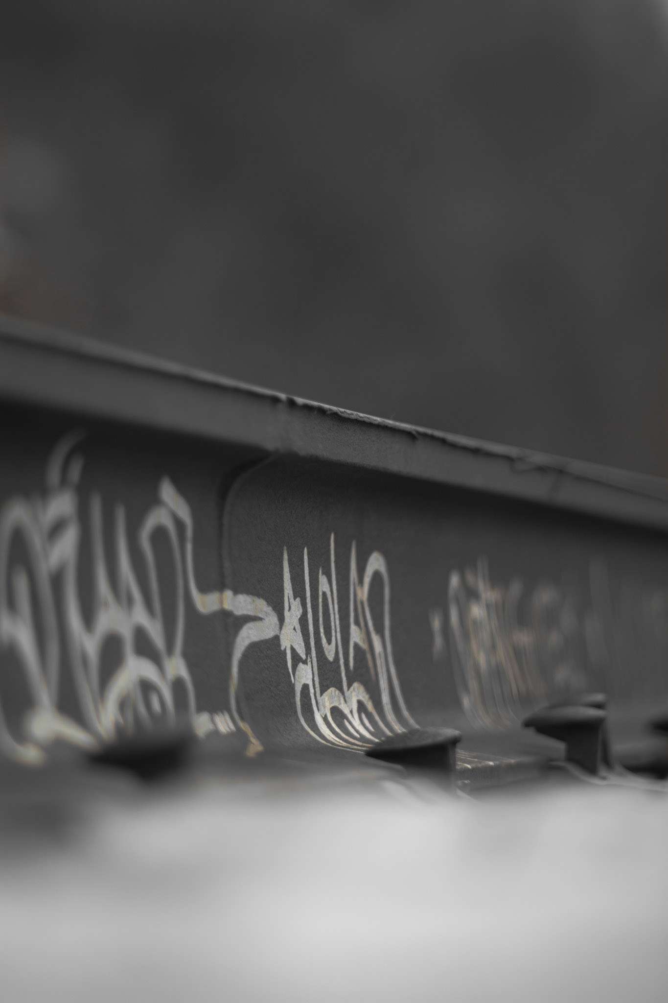 Shot with: Nikon D5200 + Vivitar 85-205mm.