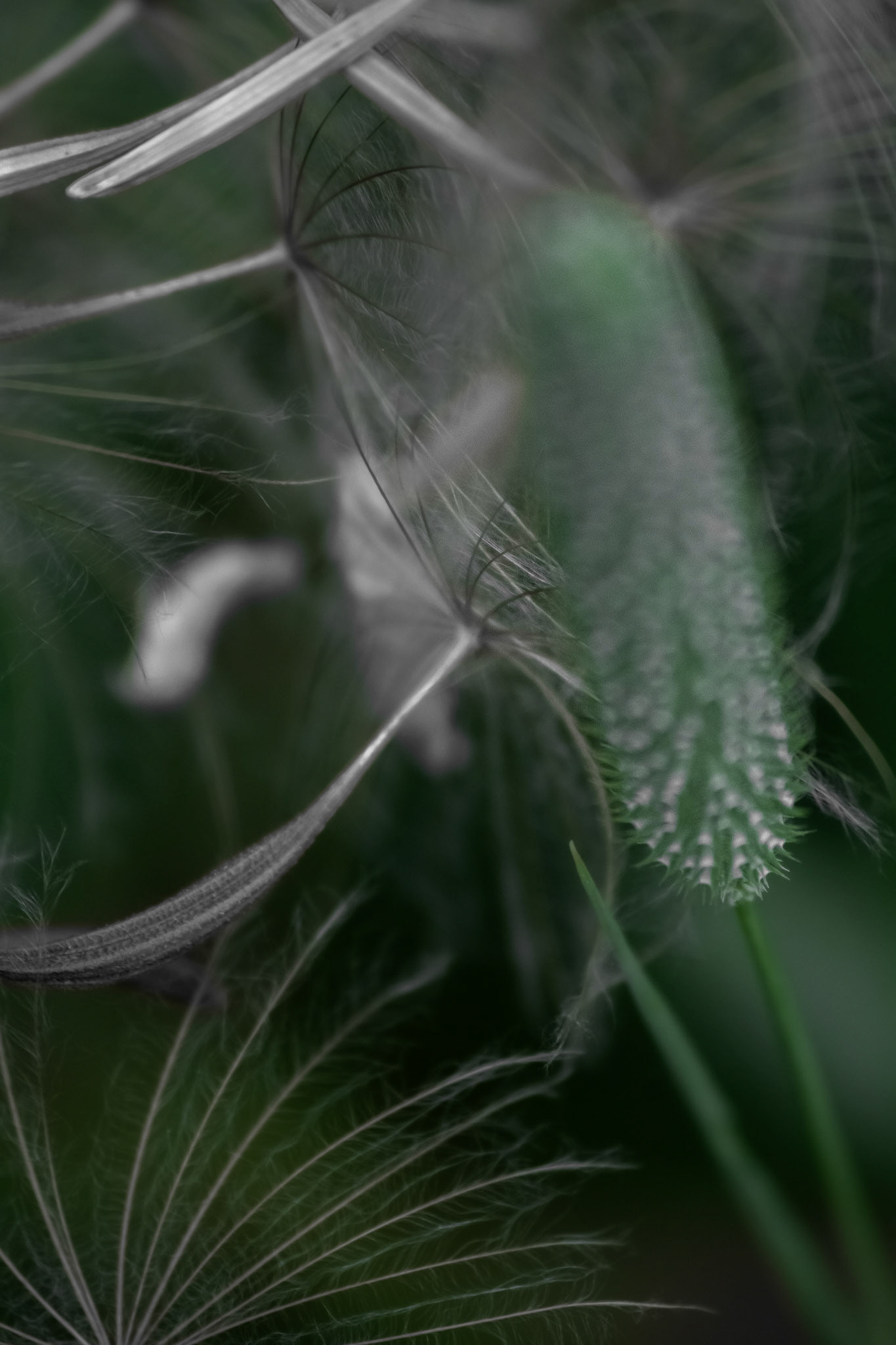 Abstract Arrangement. Shot with: Nikon D5200 + Sigma 70-300mm.