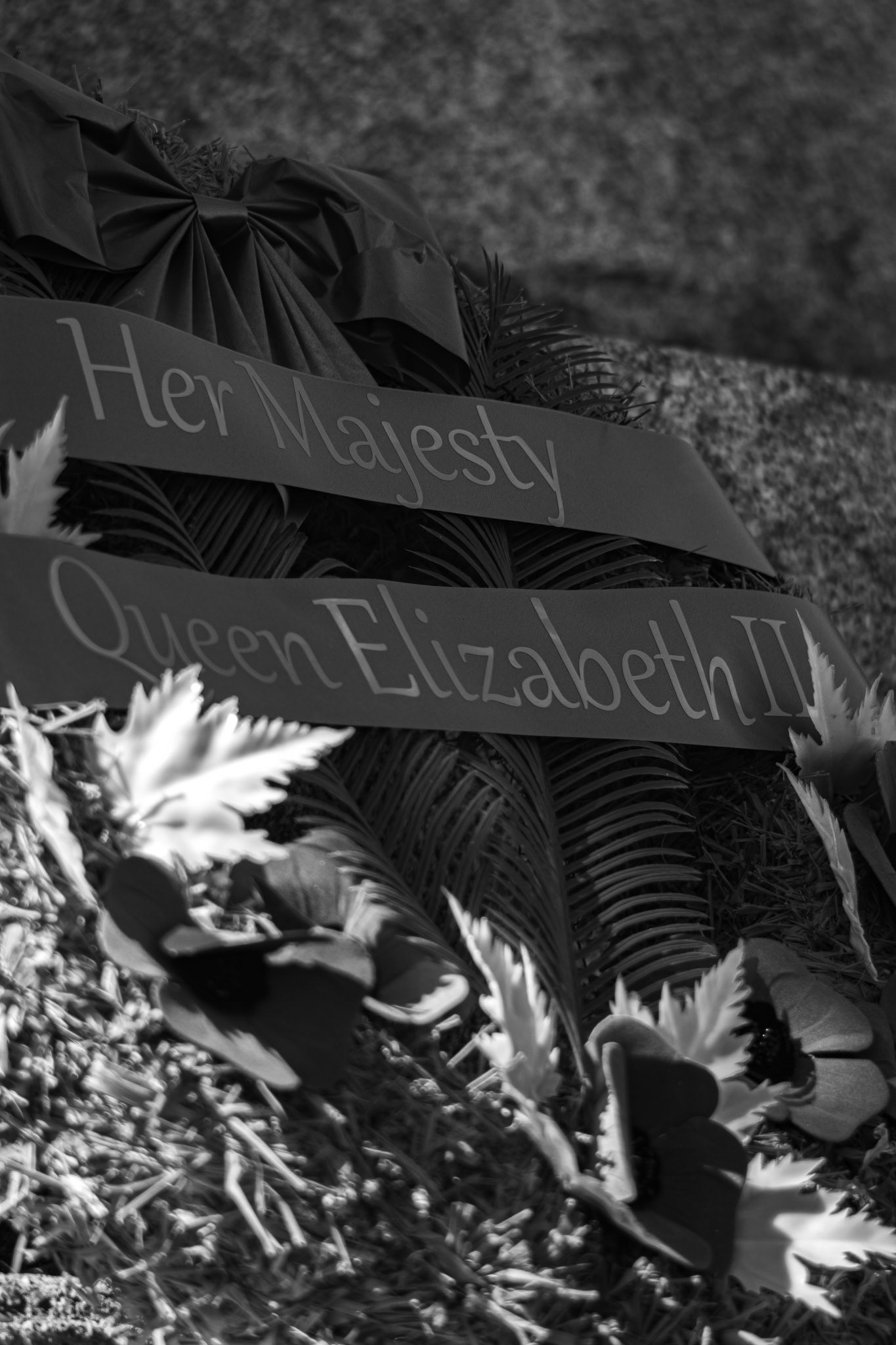 Royal Remembrance - Black and White; Shot with: Nikon D5200 + Vivitar 85-205mm.