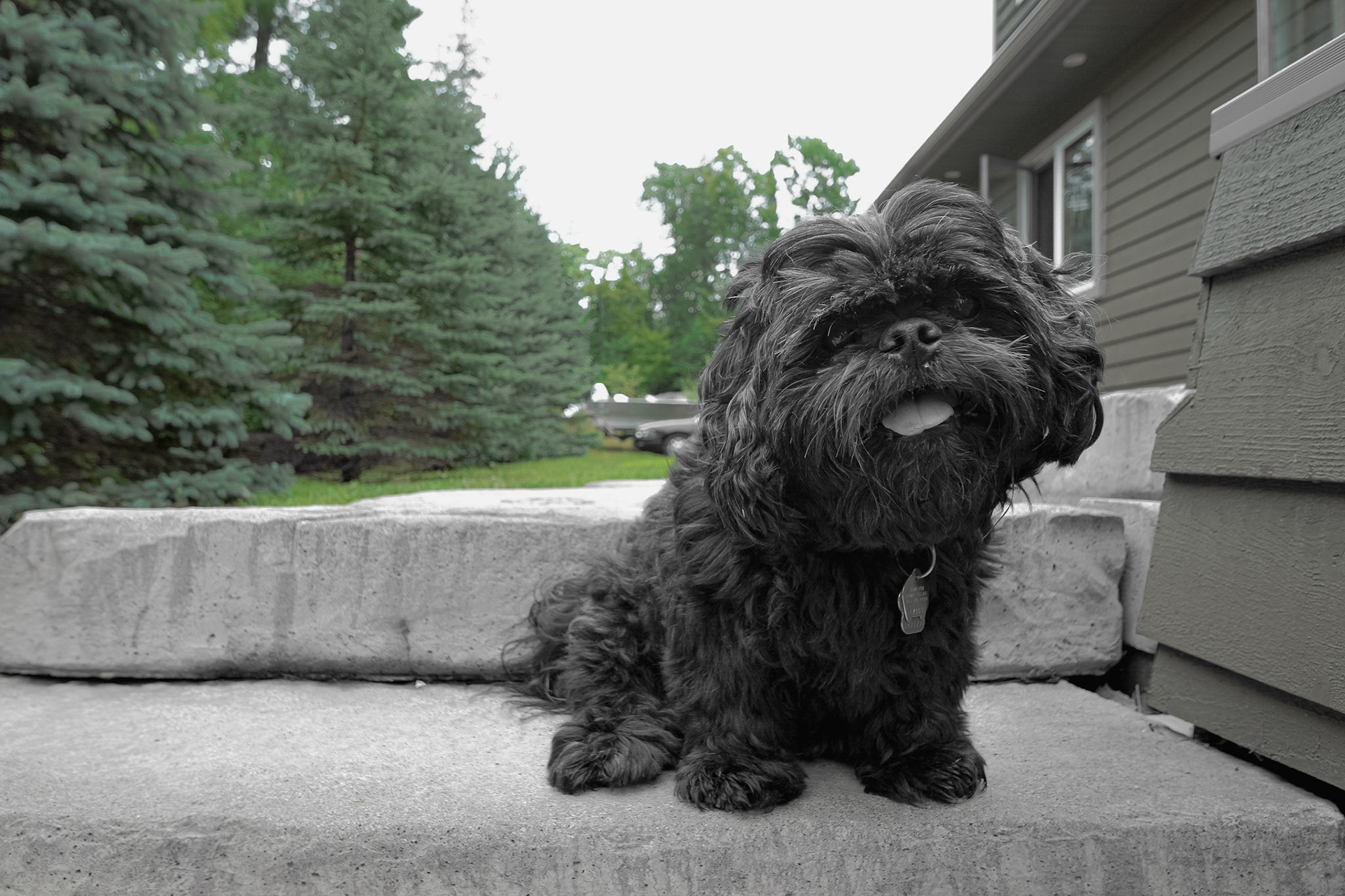 Coop's Stoop. Shot with: Nikon D5200 + Tamron 10-24mm.
