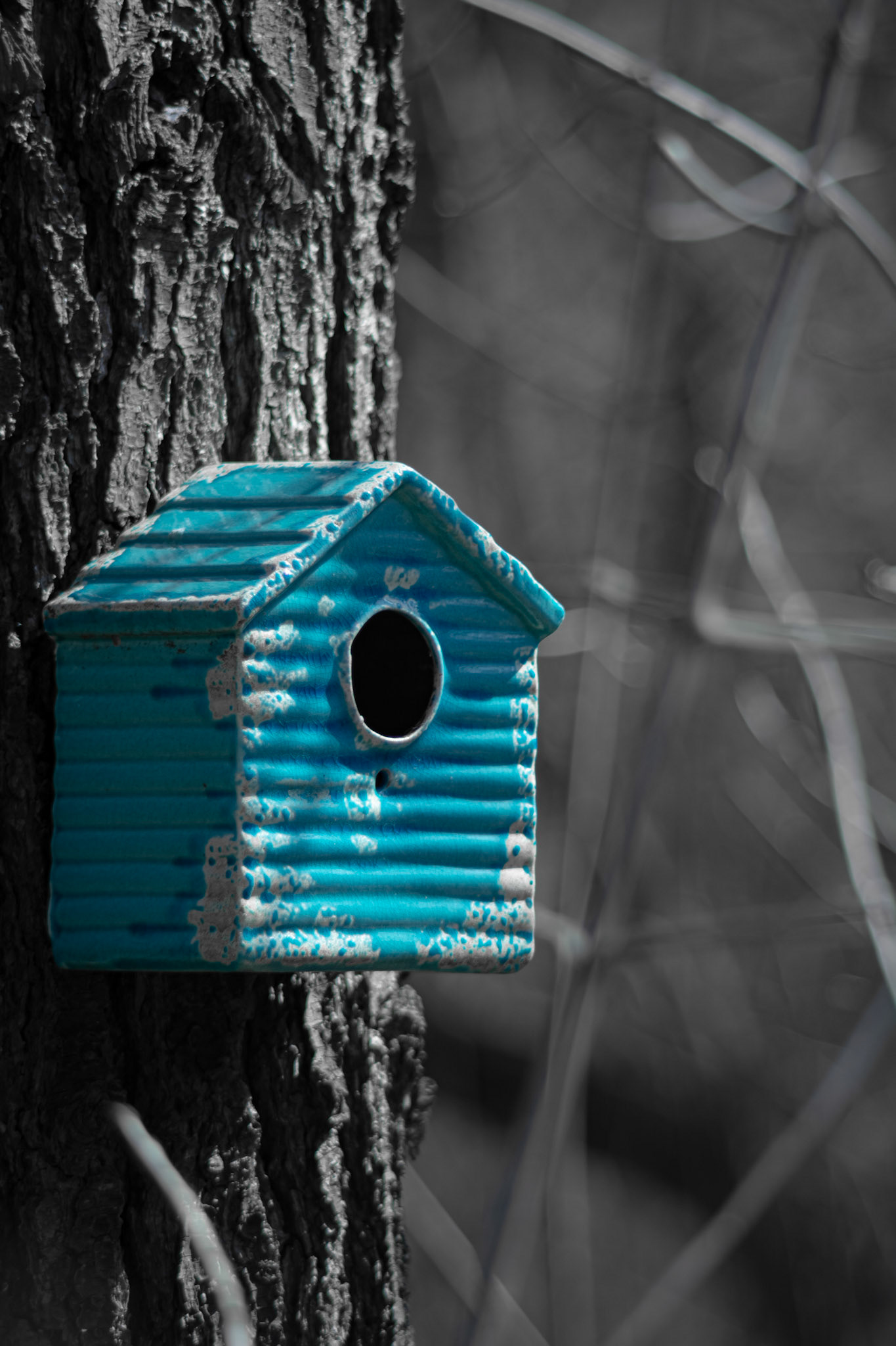 Bitty Birdhouse - Blue Pop; Shot with: Nikon D5200 + Vivitar 85-205mm.