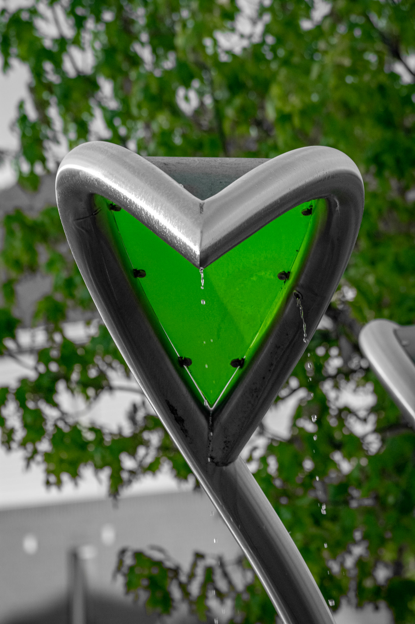 Silver Snake. Shot with: Nikon D5200 + Sigma 70-300mm.