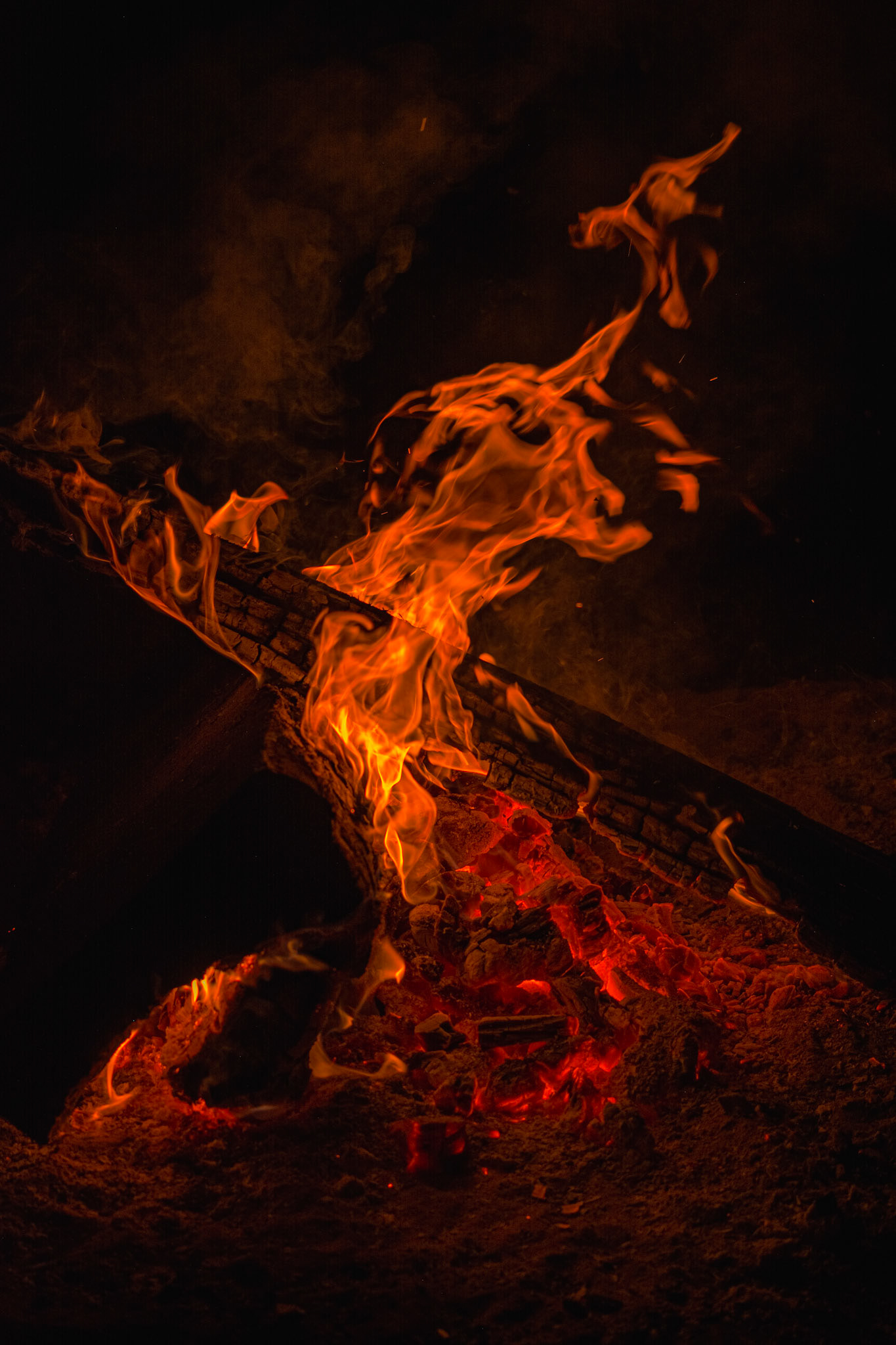 Fire on the Logs - Full Colour; Shot with: Nikon D5200 + Sigma 70-300mm.