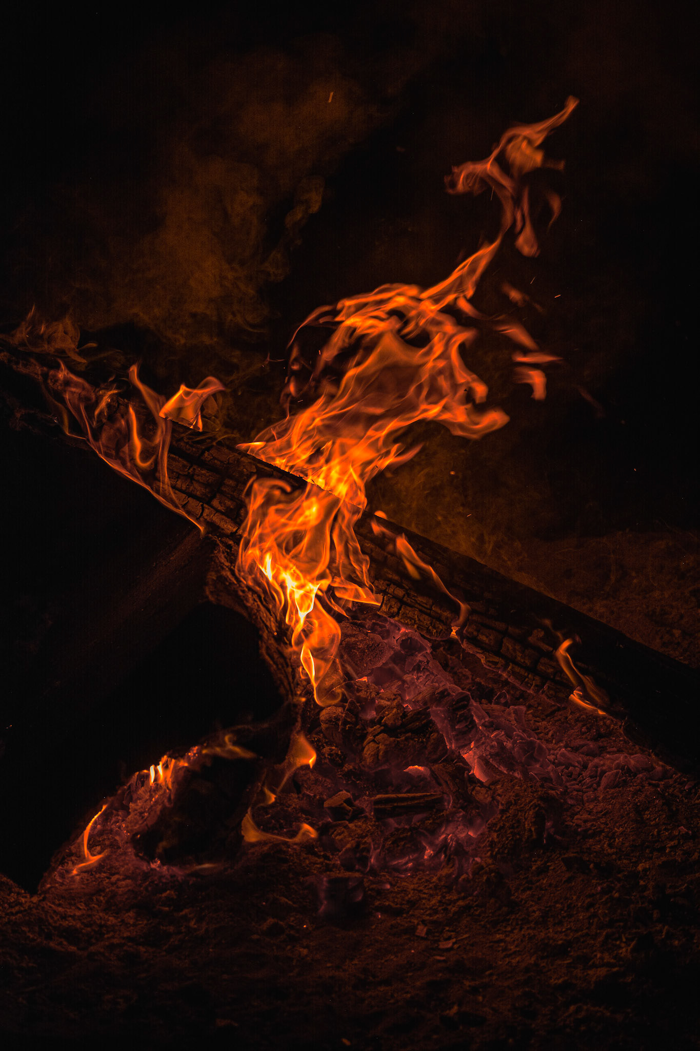 Fire on the Logs - Orange Pop; Shot with: Nikon D5200 + Sigma 70-300mm.