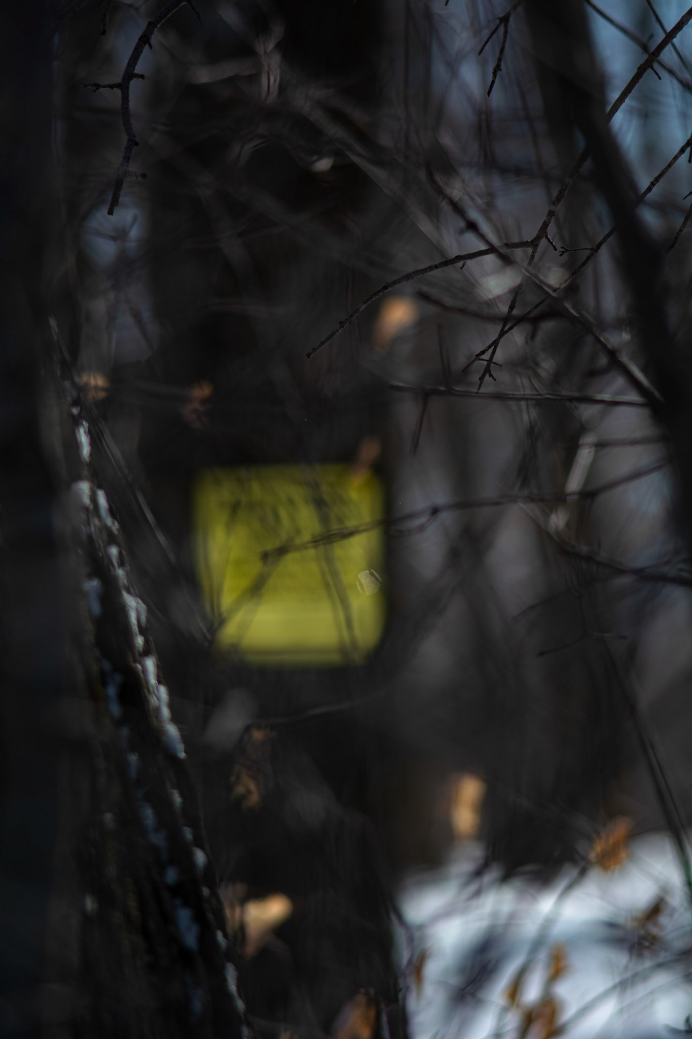 Tresspassing (Take 2) - Full Colour; Shot with: Nikon D5200 + Vivitar 85-205mm.