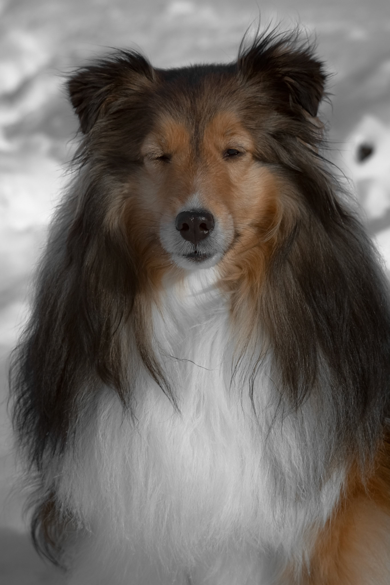 In the Wink of an Eye - Orange Pop; Shot with: Nikon D5200 + Vivitar 70-300mm.