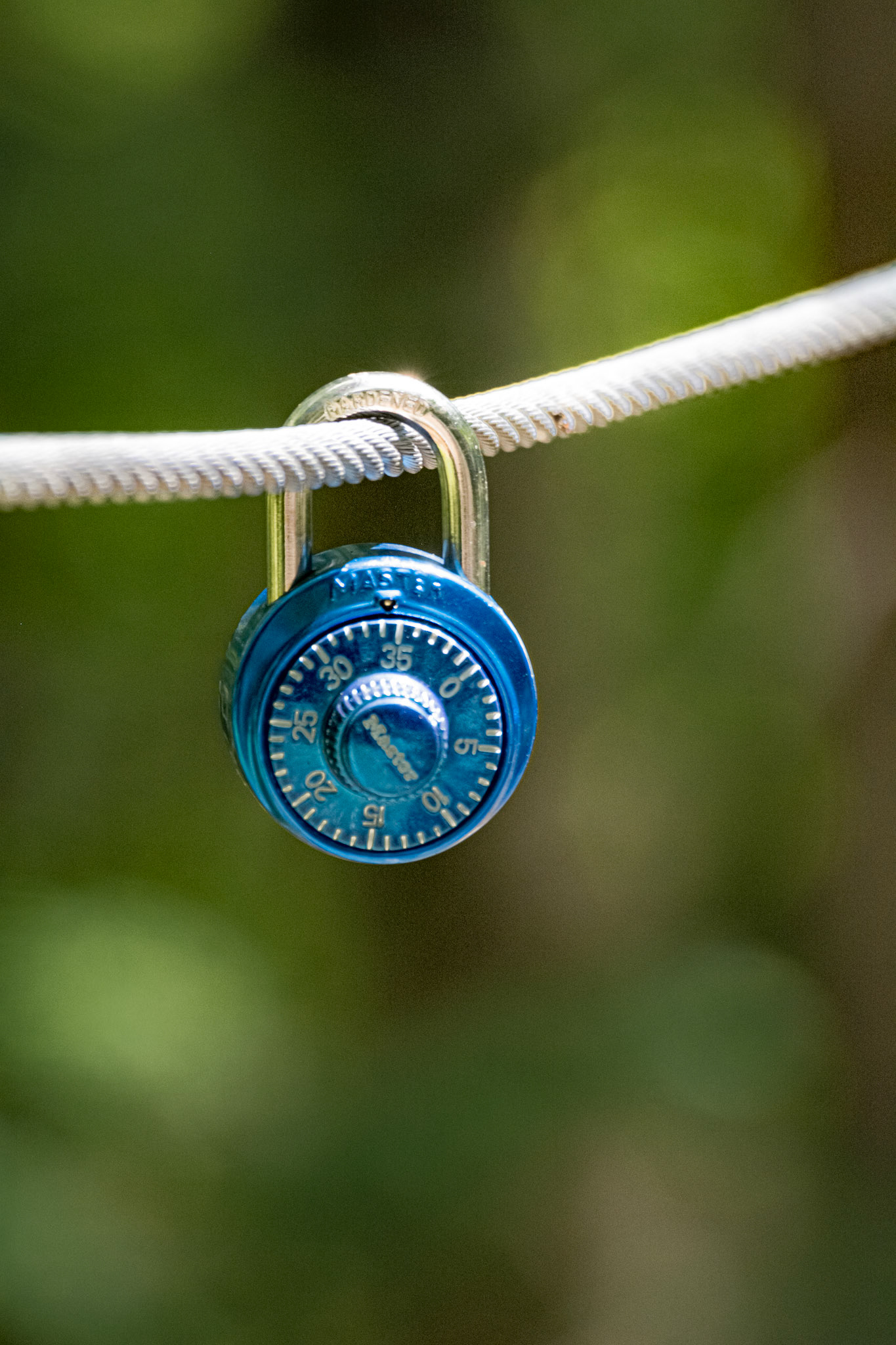 On Lock - Full Colour; Shot with: Nikon D5200 + Sigma 70-300mm.