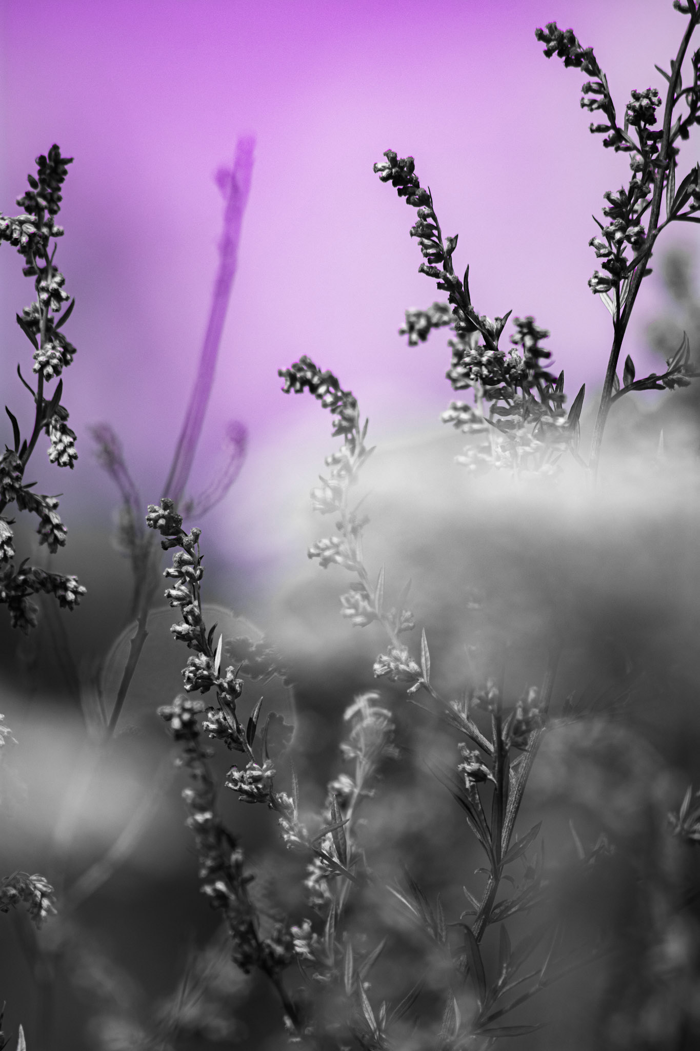 Creative Composition. Shot with: Nikon D5200 + Sigma 70-300mm.