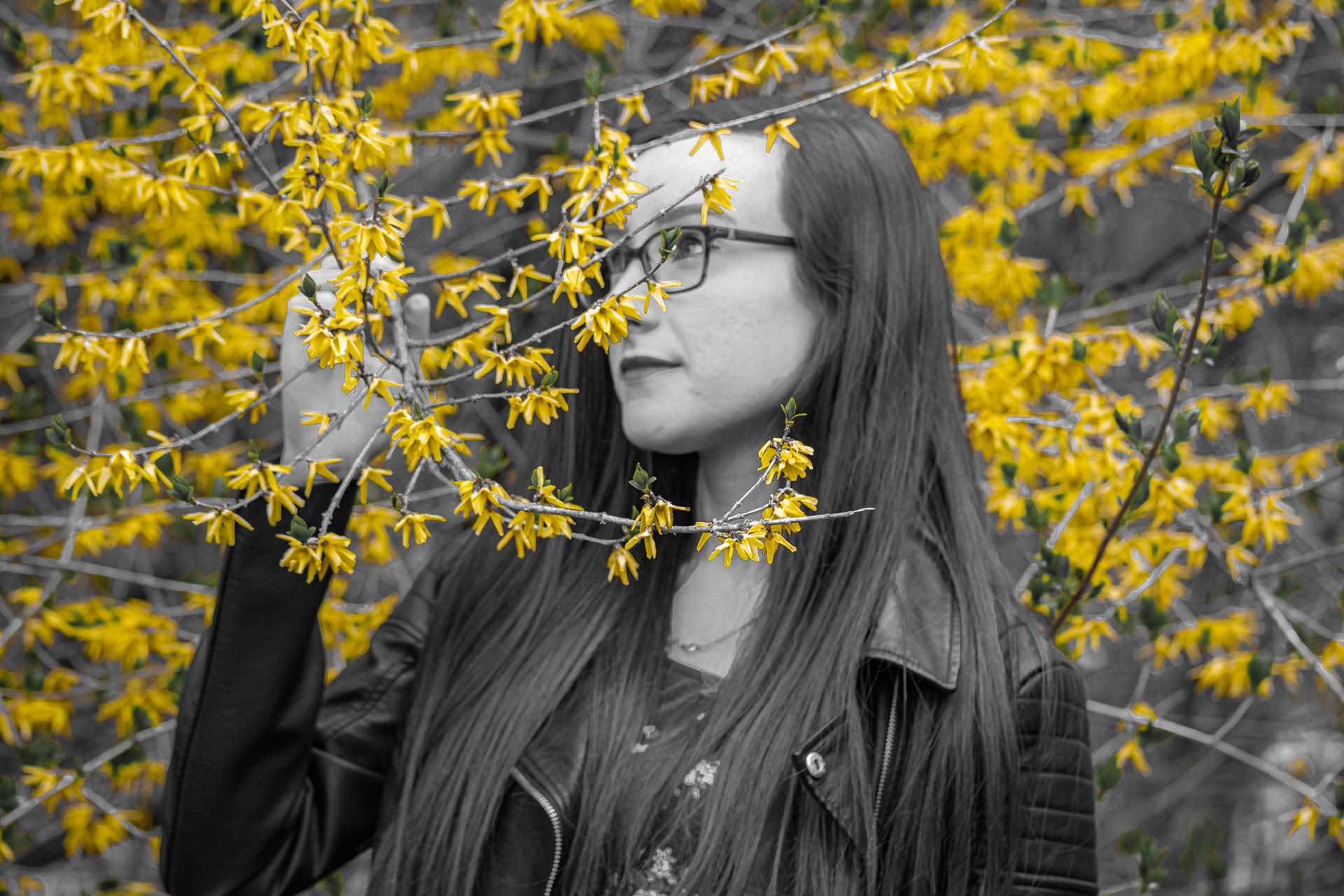 Spring Snapshot - Yellow Pop; Shot with: Nikon D5200 + Sigma 70-300mm.