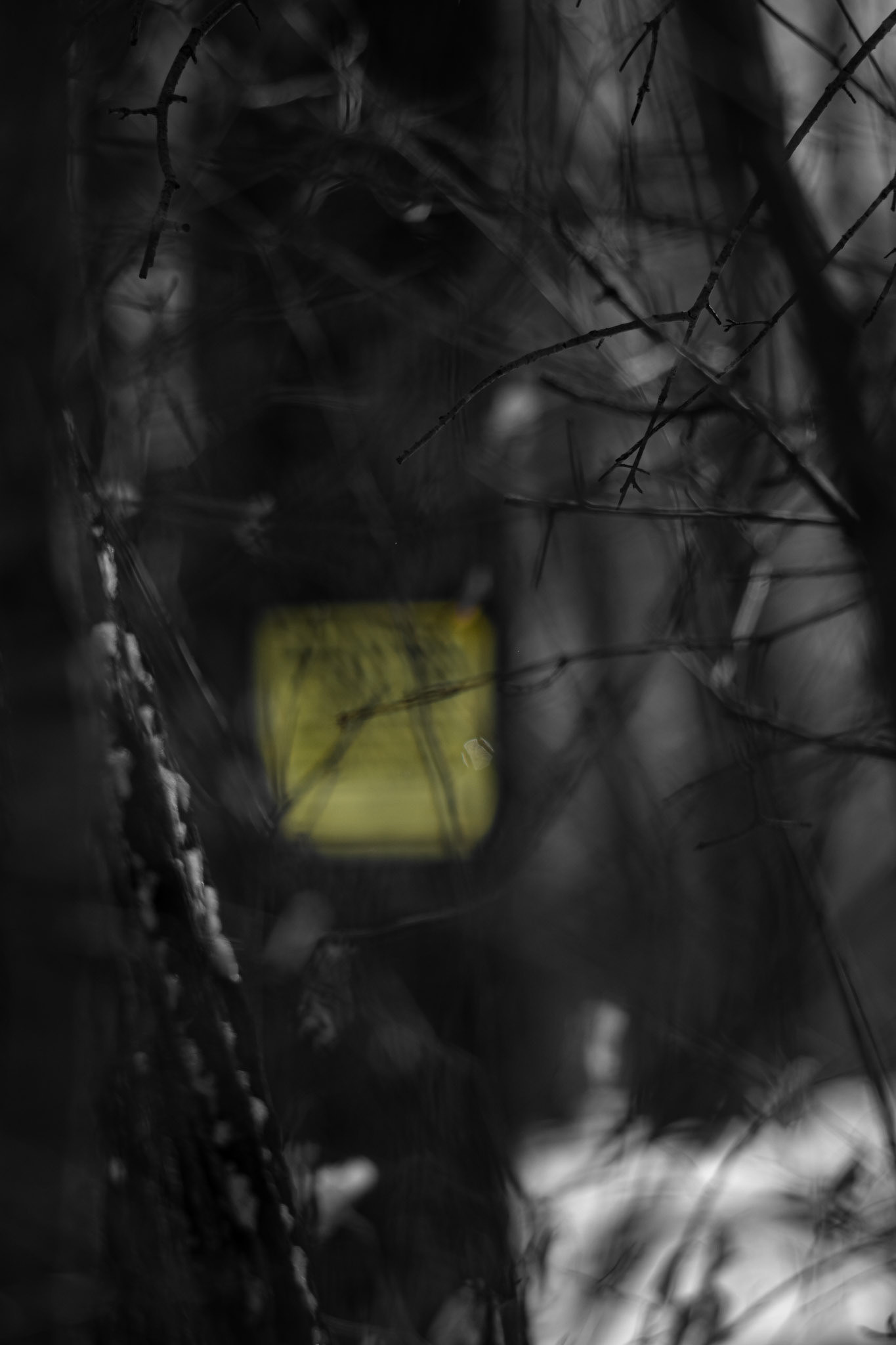 Shot with: Nikon D5200 + Vivitar 85-205mm3.8f.