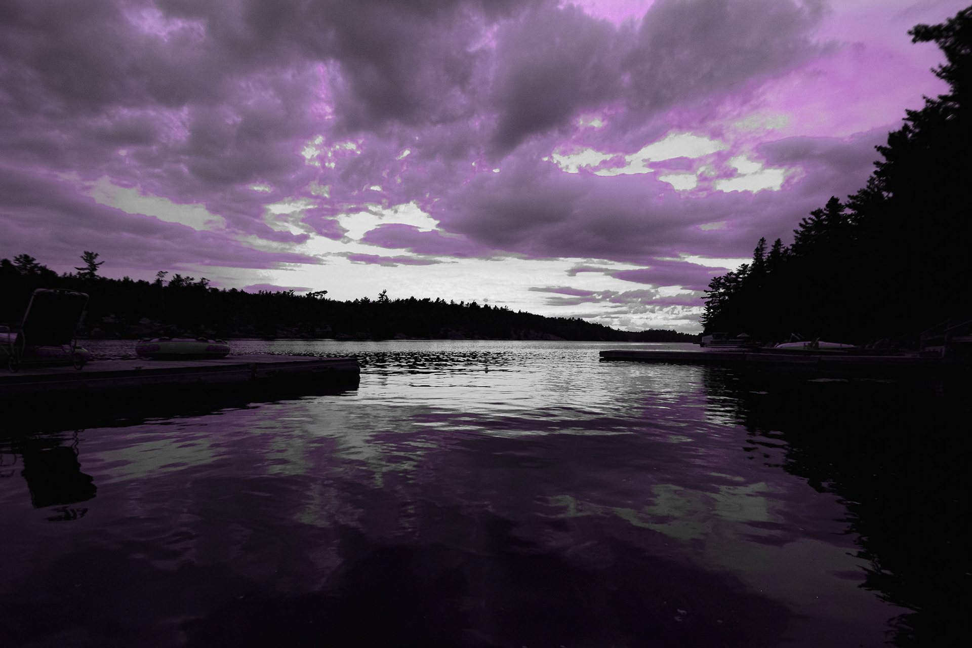 Peaceful Pastimes - Purple Pop; Shot with: Nikon D5200 + Tamron 10-24mm.
