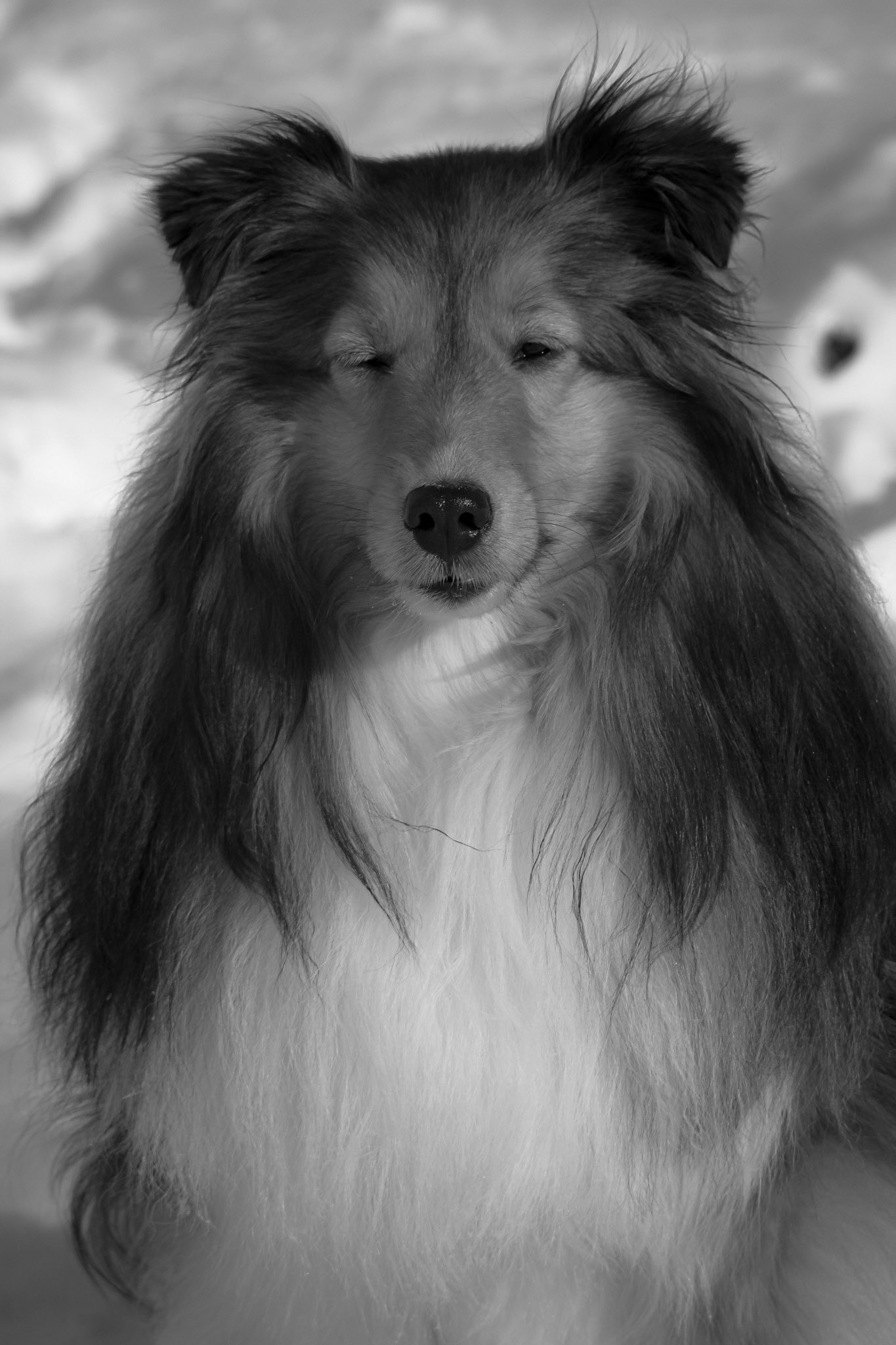 In the Wink of an Eye - Black and White; Shot with: Nikon D5200 + Vivitar 70-300mm.