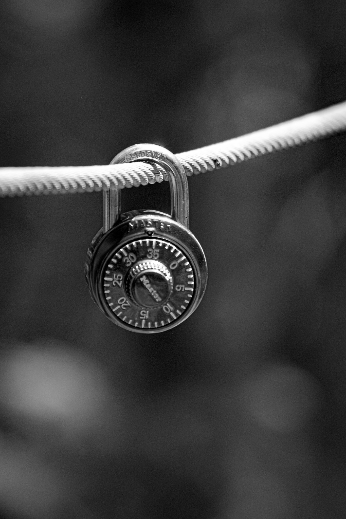 On Lock - Black and White; Shot with: Nikon D5200 + Sigma 70-300mm.