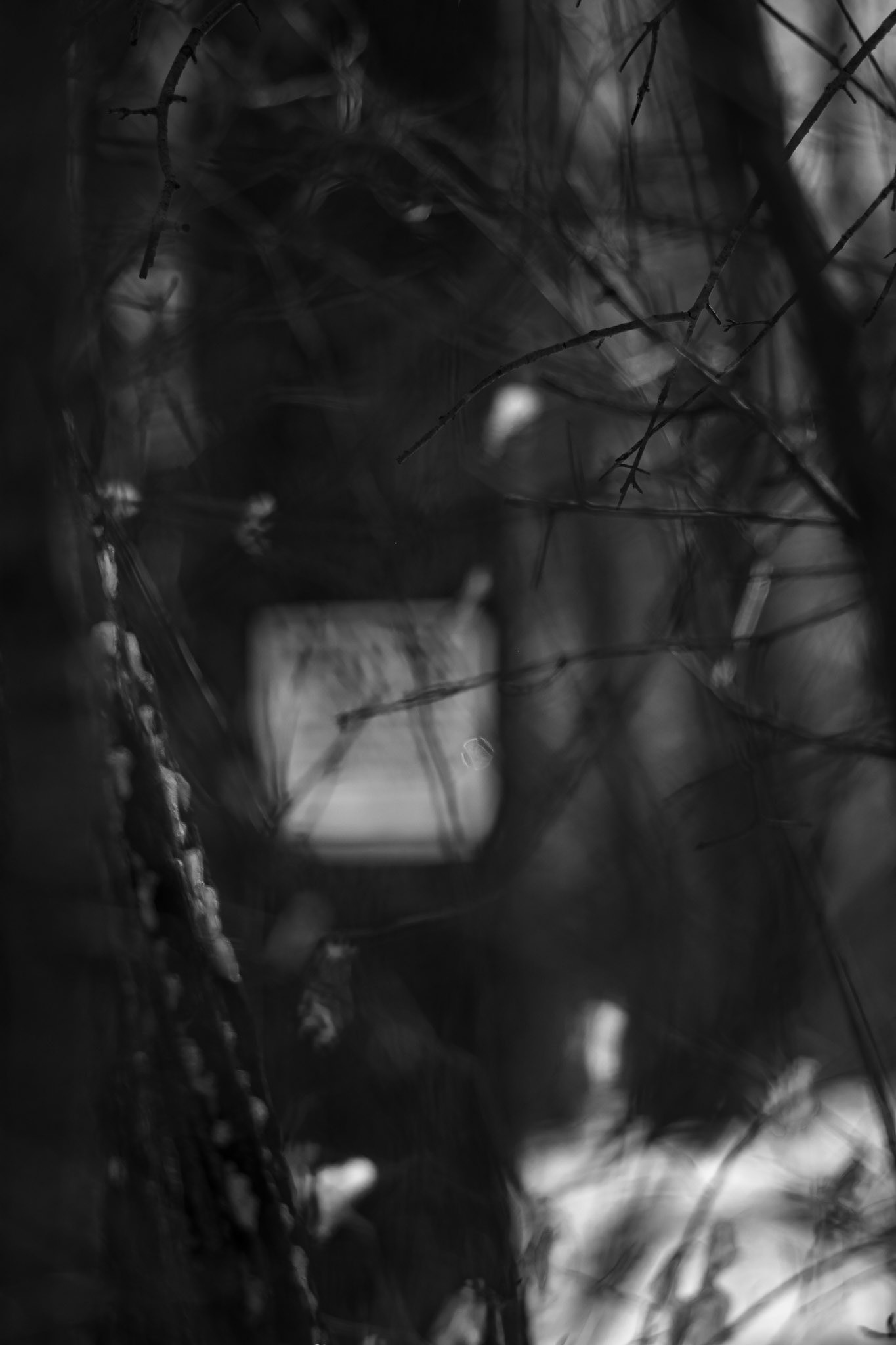 Tresspassing (Take 2) - Black and White; Shot with: Nikon D5200 + Vivitar 85-205mm.