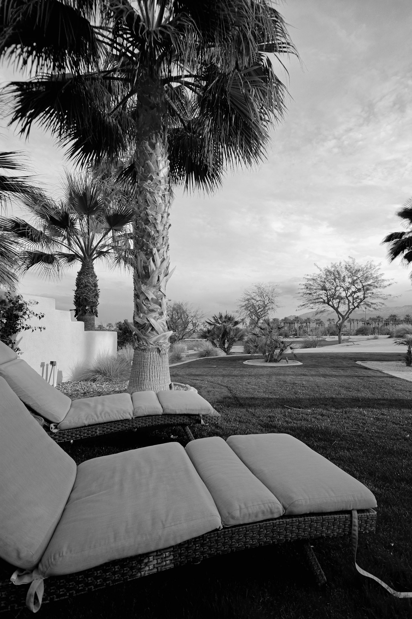 Californian Comfort - Black and White; Shot with: Nikon D5200 + Tamron 10-24mm.
