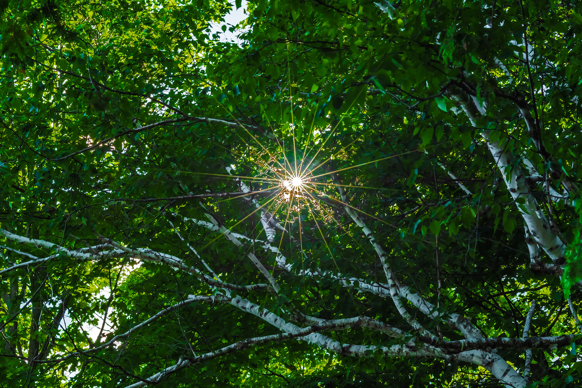 Flaring Up. Shot with: Nikon D5200 + Tamron 10-24mm.