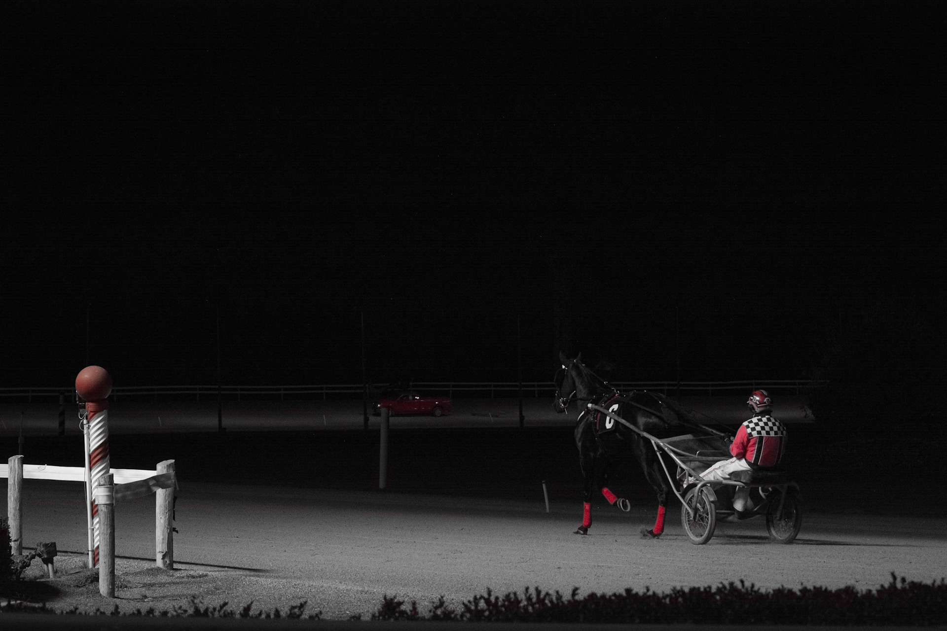 Racing Rouges. Shot with: Nikon D5200 + Sigma 70-300mm.