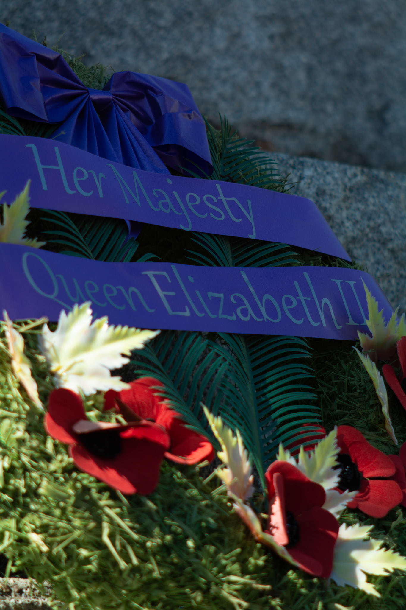 Royal Remembrance - Full Colour; Shot with: Nikon D5200 + Vivitar 85-205mm.