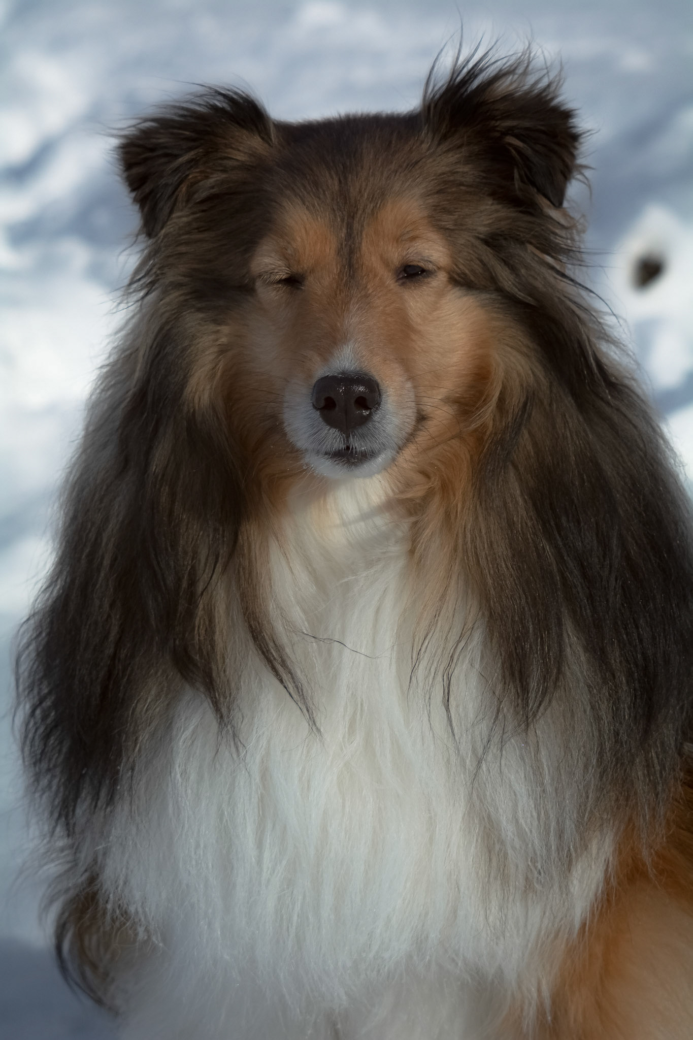 In the Wink of an Eye - Full Colour; Shot with: Nikon D5200 + Vivitar 70-300mm.