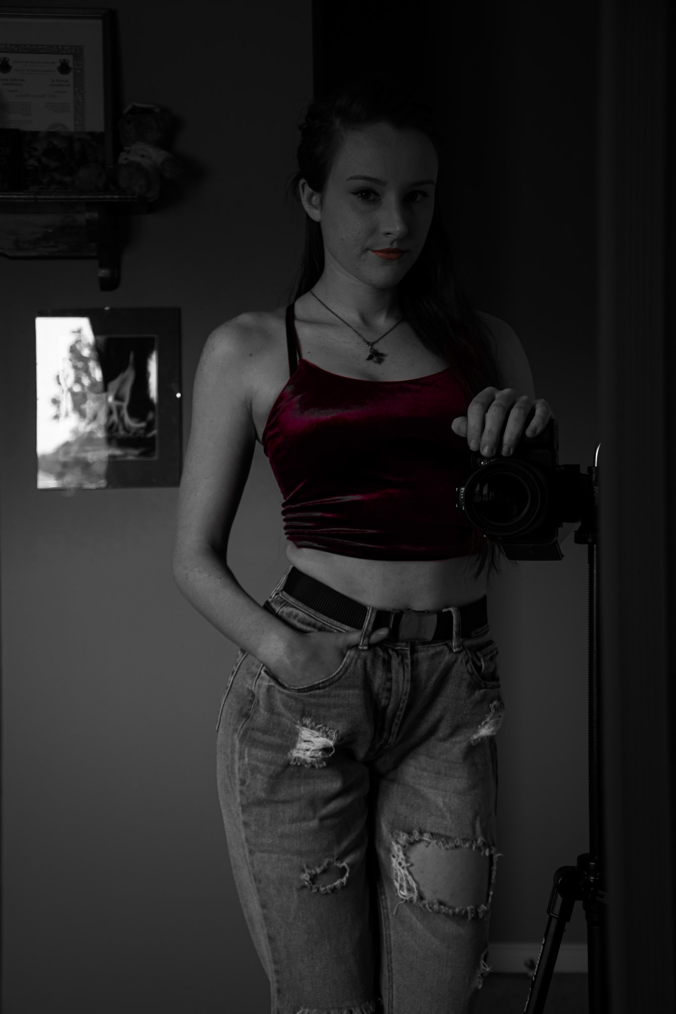 Burgandy Bop. Shot with: Nikon D5200 + Nikon 18-105mm.