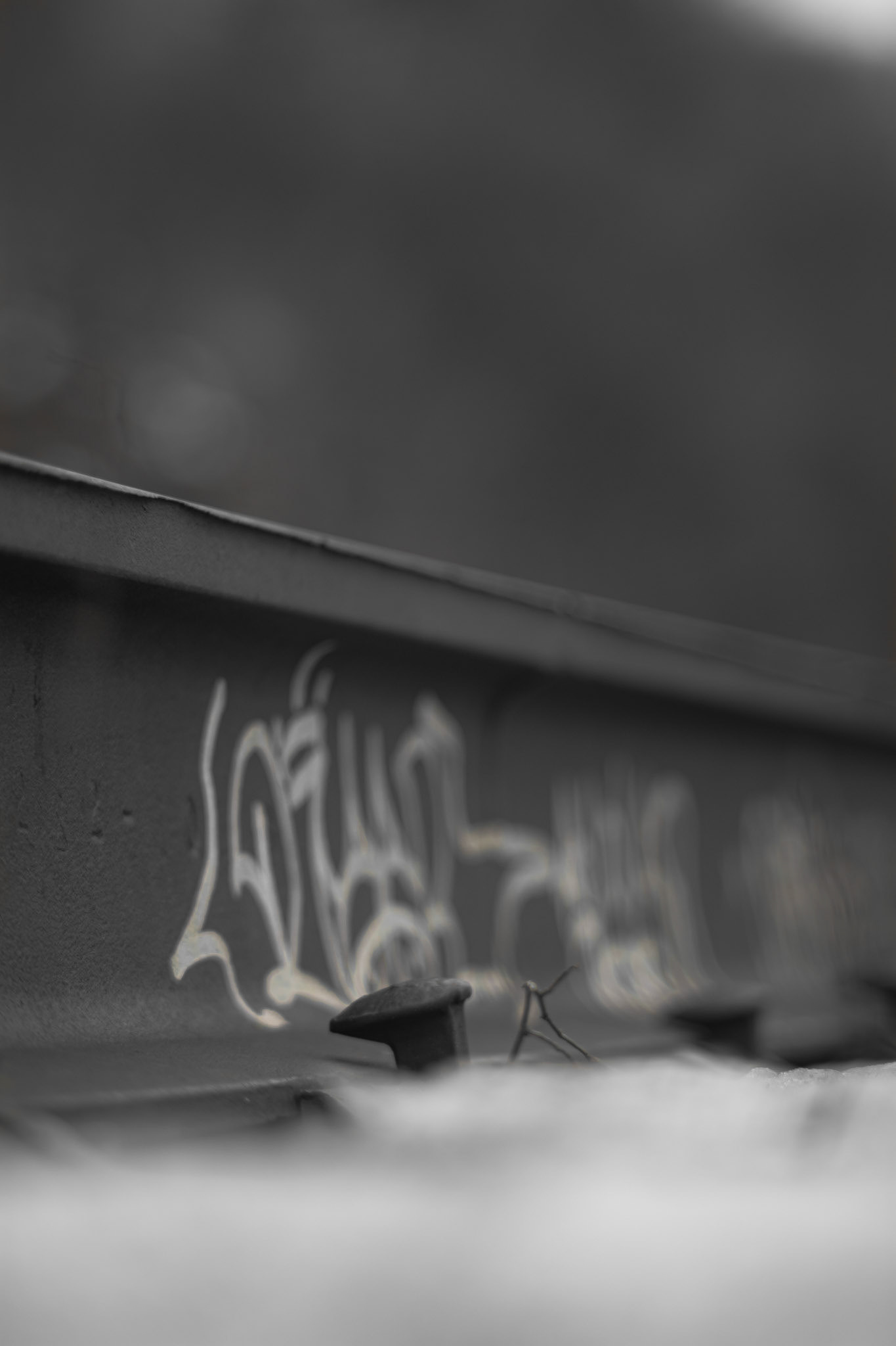 Shot with: Nikon D5200 + Vivitar 85-205mm.