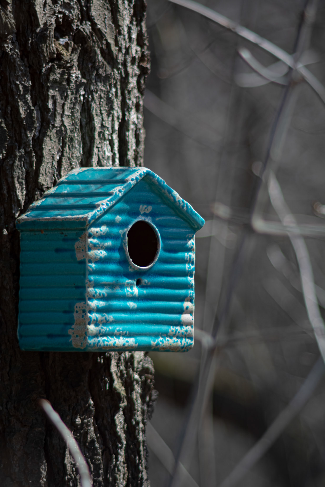 Bitty Birdhouse - Full Colour; Shot with: Nikon D5200 + Vivitar 85-205mm.