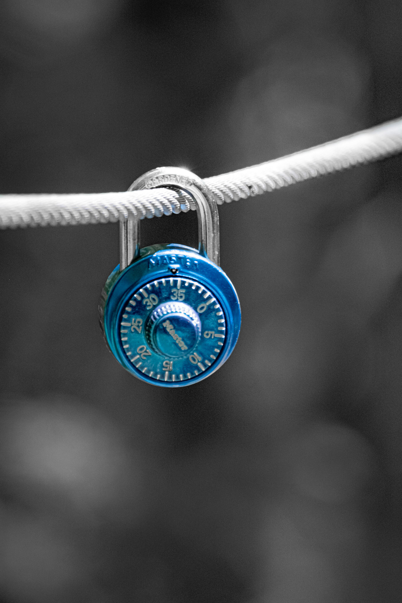 On Lock - Blue Pop; Shot with: Nikon D5200 + Sigma 70-300mm.